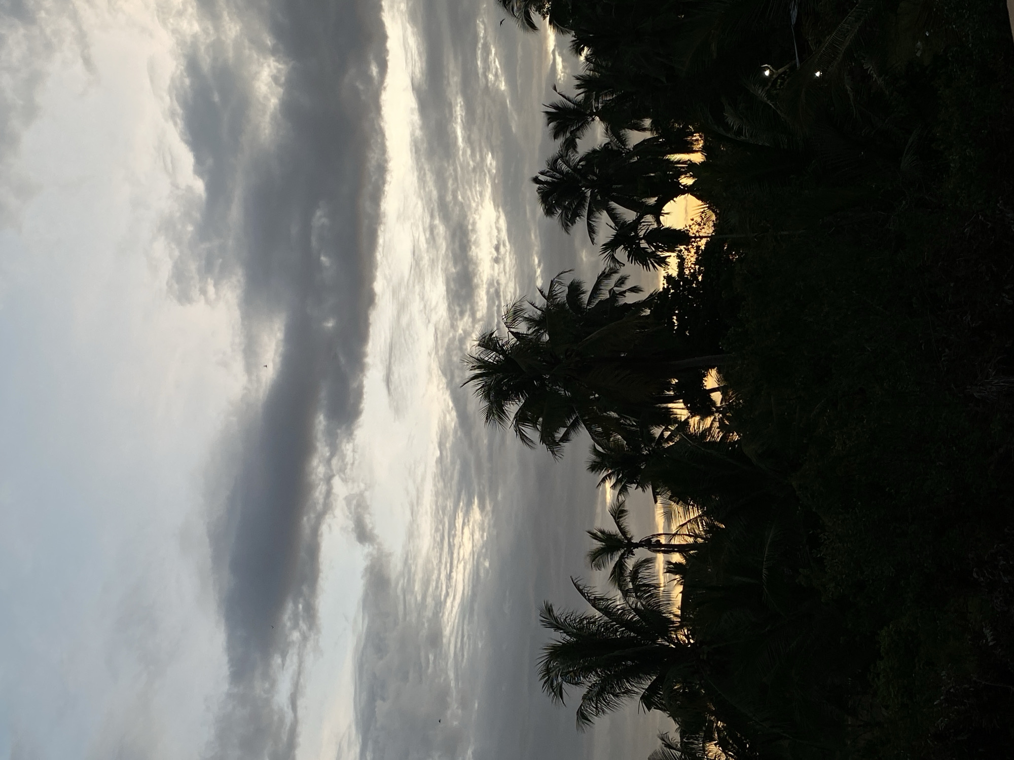 The image shows a cloudy sky over Tanjongkapai, Indonesia, with palm trees silhouetted against the sunset. The sky is filled with grey and white clouds. Several palm trees are visible in the foreground. The lighting suggests it is either sunrise or sunset.