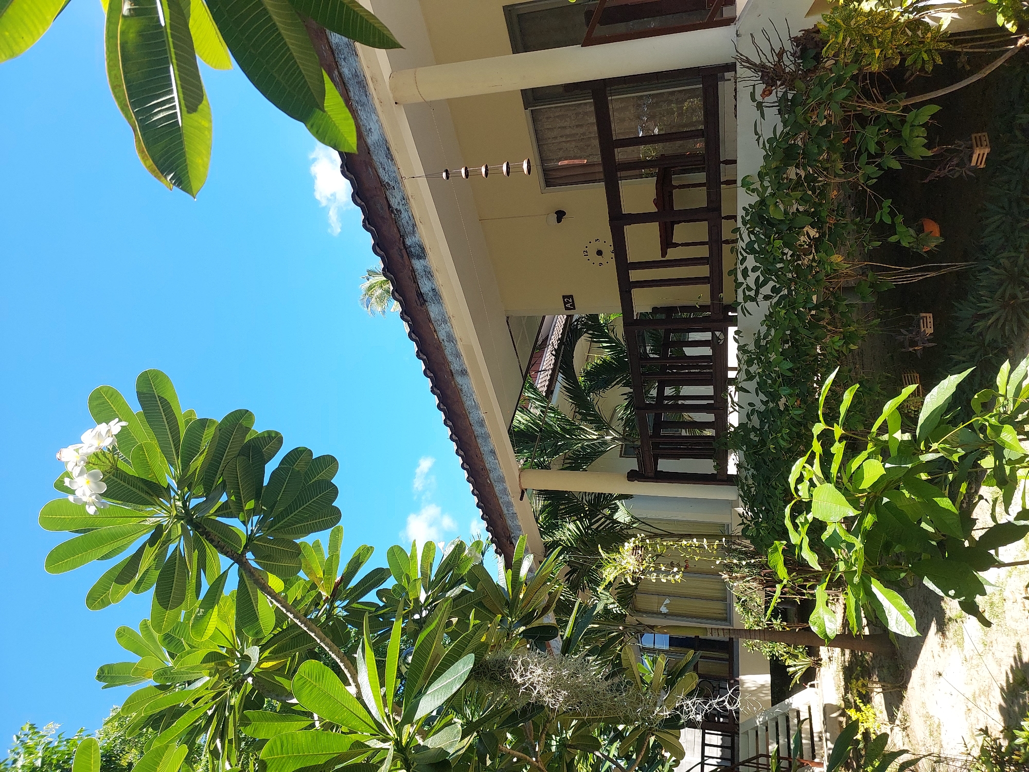 This is a ground-level, eye-level exterior shot of a bungalow resort in Baan Mae Nam, Thailand. The foreground is dominated by lush green foliage, with a large frangipani tree on the left featuring white blossoms. Behind the foliage, a light yellow bungalow with a brown tiled roof is visible. A wooden balcony with a dark brown railing runs along the front of the bungalow, with a small wooden table on it. The sky is a bright blue with a few scattered clouds. There is a hanging mobile or wind chime on the balcony. The ground appears to be sandy with some small plants and a stone path leading to stairs on the far left. The scene depicts a tropical, serene environment. There are no people visible in the image.