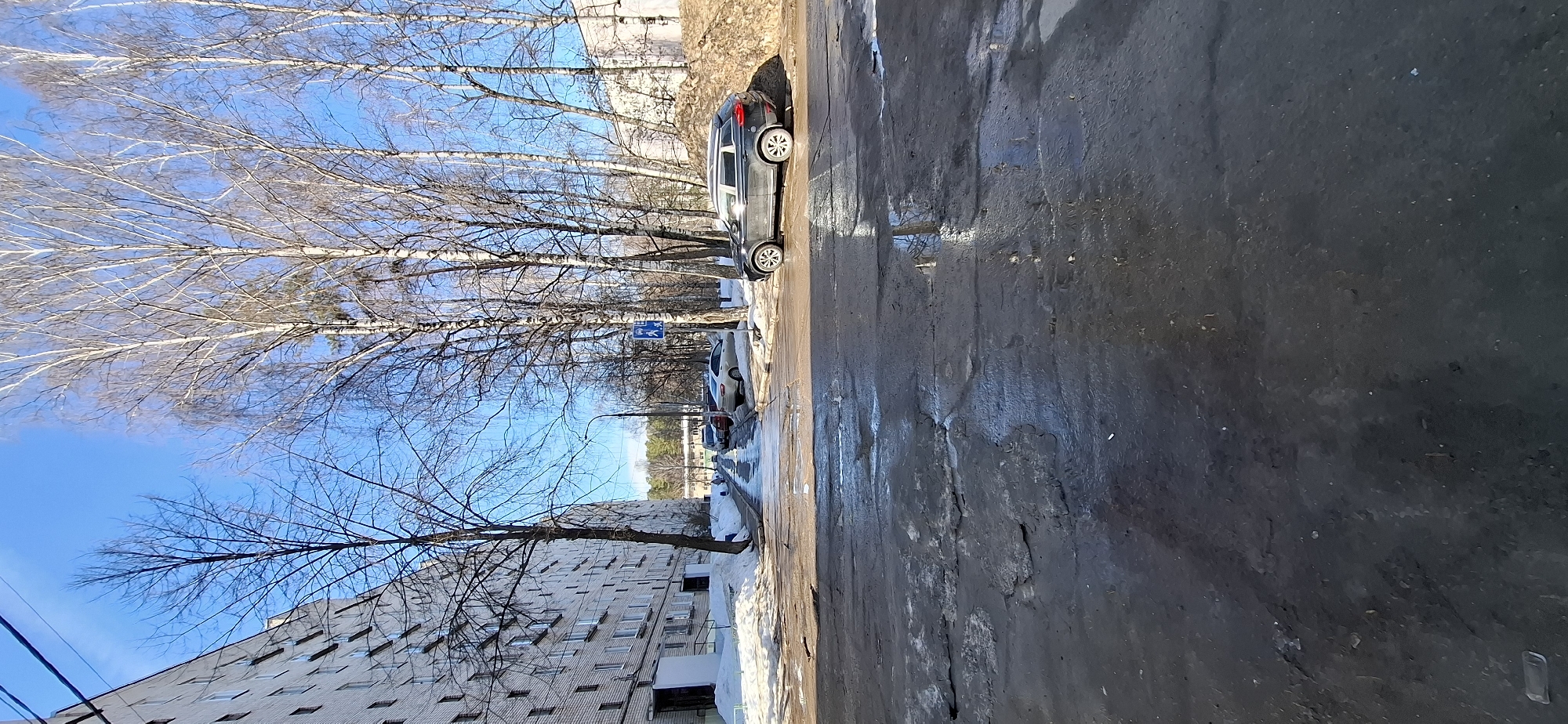 This image depicts a residential street or access road in Chaikovsky, Russia, during what appears to be late winter or early spring on a clear, sunny day. The foreground features a heavily damaged, wet, and muddy road surface with numerous puddles, ice patches, and exposed dirt. Reflections of the clear blue sky are visible in the water.
On the left side of the scene, a multi-story, light-colored brick apartment building extends into the background, featuring multiple windows and ground-level entrances. Piles of melting snow are present along the base of this building. A single, large, bare deciduous tree stands close to the building.
The right side of the road is lined with a row of tall, bare deciduous trees, primarily birches with distinctive light bark. Beneath these trees, a large mound of brown dirt and mud is visible. A dark grey SUV is parked on this side, partially obscured by the dirt mound. Further along the right, a blue square pedestrian crossing sign with white figures is mounted on a pole.
The road continues into the mid-ground, where additional parked vehicles, including a light-colored sedan, are visible. The background shows more bare trees, glimpses of other buildings, and an overall clear, bright blue sky with a few overhead power lines visible at the upper left. No people are present or engaged in any actions within the frame.