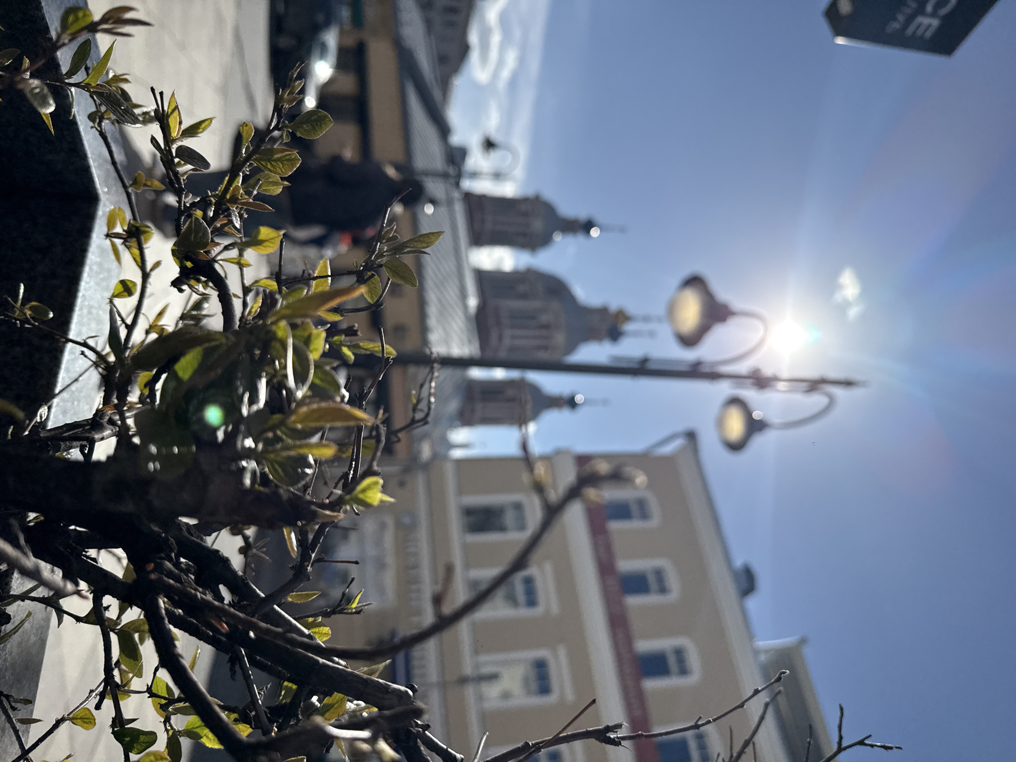 The image shows a daytime urban scene, likely in Moscow, Russia, given the architecture. A bush with emerging green leaves is in the foreground, partially obscuring the view. In the midground, there's a street lamp with two lit globes and blurred figures of people. Behind this, building facades are visible, including a structure with prominent domes characteristic of Russian Orthodox churches. A beige building with regularly spaced windows is also present. The sky is bright blue, with the sun's glare creating a lens flare effect.