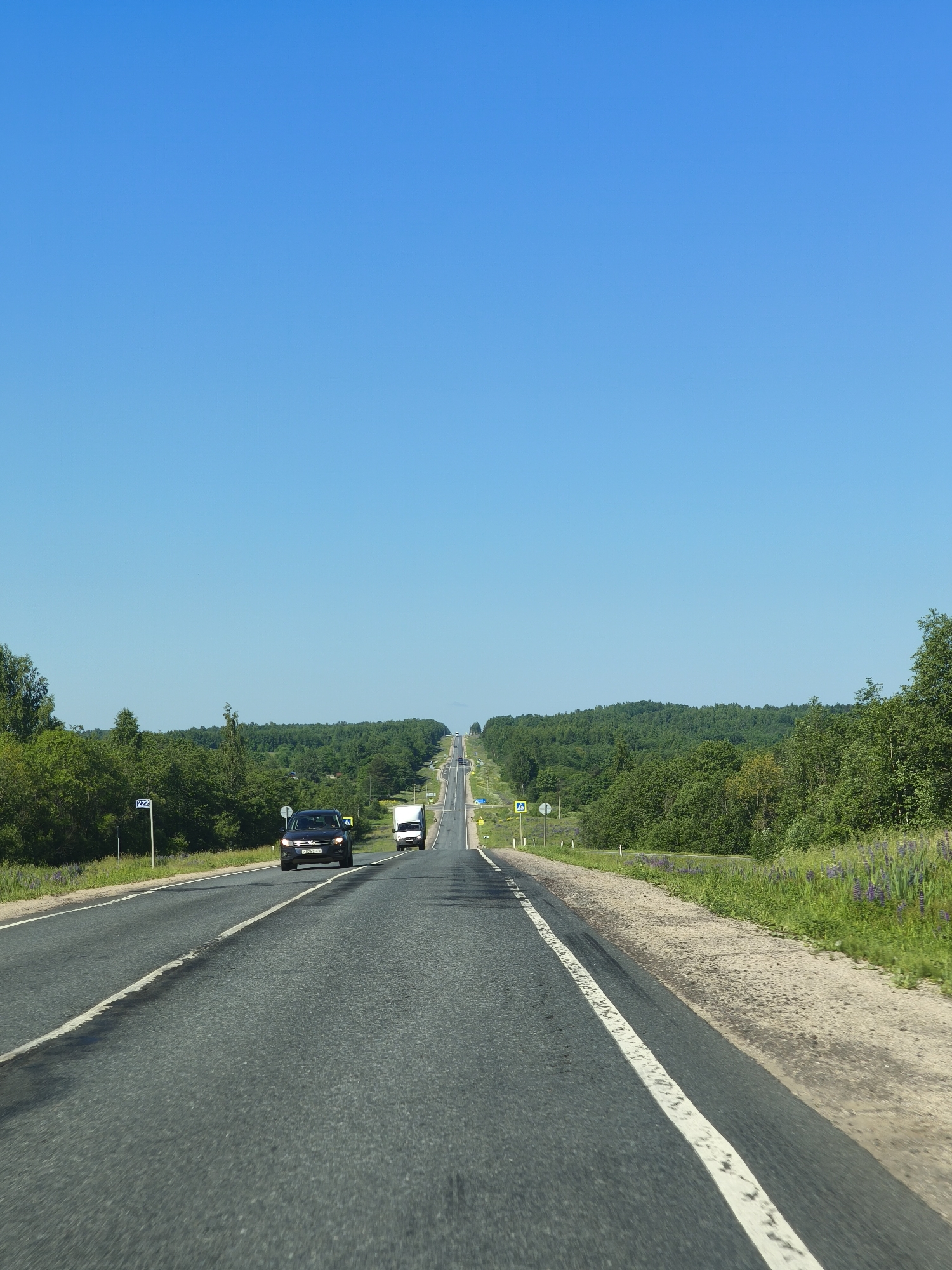 A view from the perspective of a vehicle driving on a paved, multi-lane highway in a rural area. The highway stretches towards a distant horizon, characterized by rolling hills covered in dense green forest. The sky is a clear, bright blue. In the foreground, the road surface shows signs of wear, with a white lane marking and some dark patches. A black SUV is traveling in the left lane ahead, and a white delivery truck is in the right lane, also moving away from the viewer. To the left of the road, there is a signpost with the number "222" on it, and a yellow pedestrian crossing sign. The right shoulder of the road is a gravel and dirt verge, lined with green grass and blooming purple wildflowers. The overall impression is a sunny, clear day on a rural highway. This scene is consistent with the landscape found on the M7 highway (Volga Highway) as it approaches the city of Makaryev, Russia, specifically in an area characterized by forests and open stretches of road.