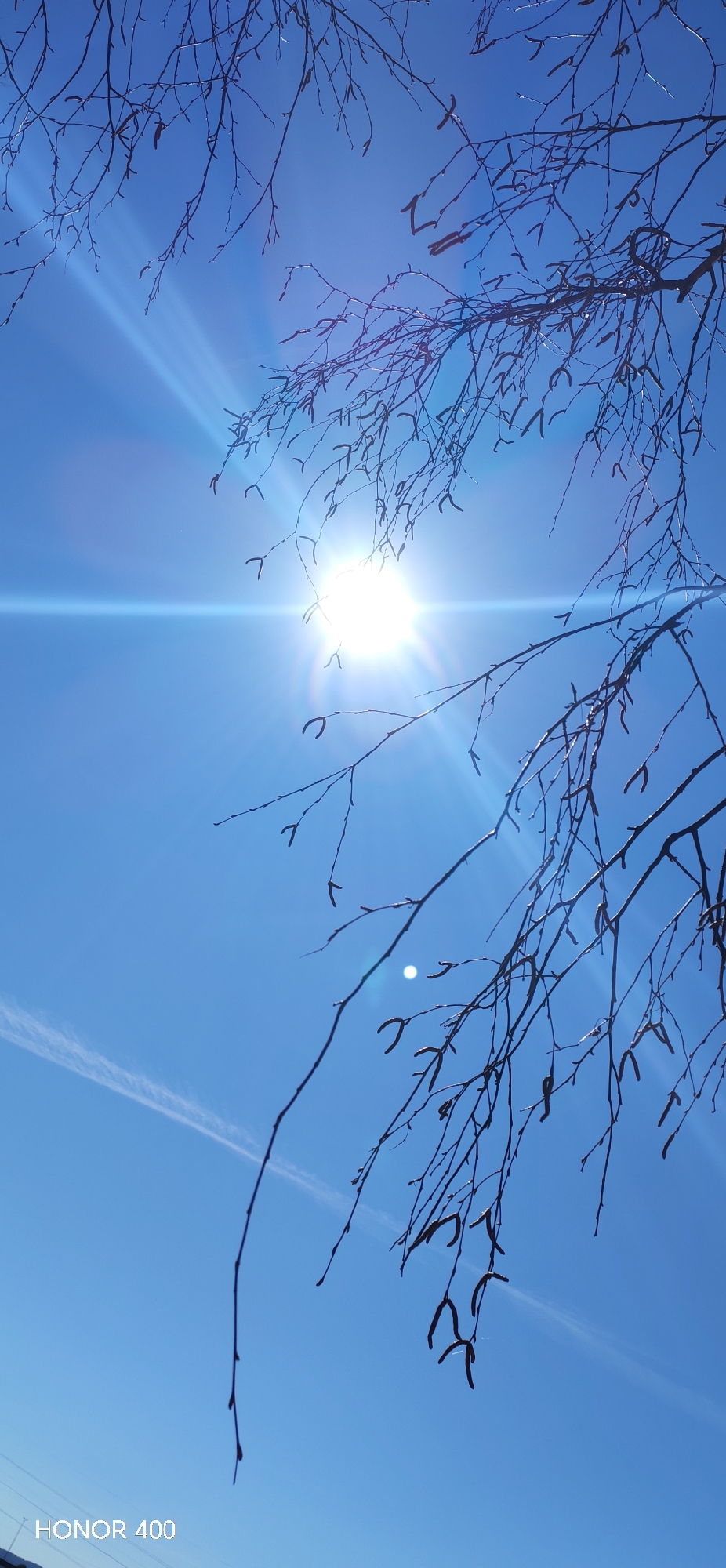 A low-angle shot captures tree branches against a bright blue sky. The sun's glare obscures details in the upper center of the frame, creating a lens flare effect. A contrail is visible in the lower-left quadrant. The text "HONOR 400" is displayed in the bottom left corner. No people are visible. The location is not discernible from the image.