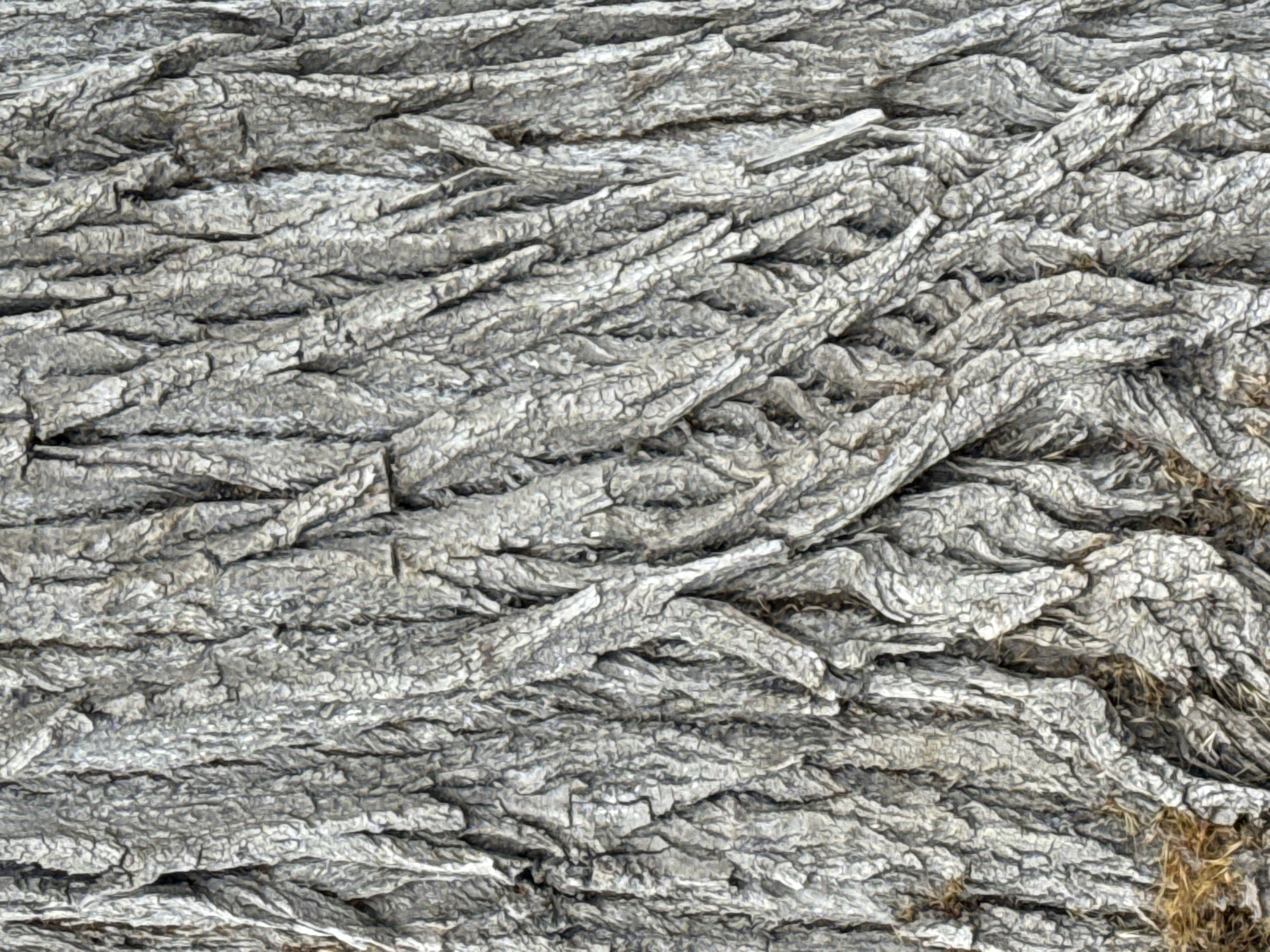 This is a close-up, high-angle, full-frame photograph of the textured bark of a tree. The bark is primarily a grayish-white color, with deep crevices and ridges running horizontally across the image. The texture appears rough and weathered, with many small, irregular cracks and flakes. There are also hints of brown, dry grass visible in the bottom right corner of the frame, suggesting the tree is outdoors. The lighting appears to be natural, casting subtle shadows within the bark's textures, indicating it's likely daytime. No people, animals, or specific objects are visible, only the abstract pattern and texture of the tree bark. The image focuses solely on the tactile and visual qualities of the bark, creating an almost abstract study of natural patterns.