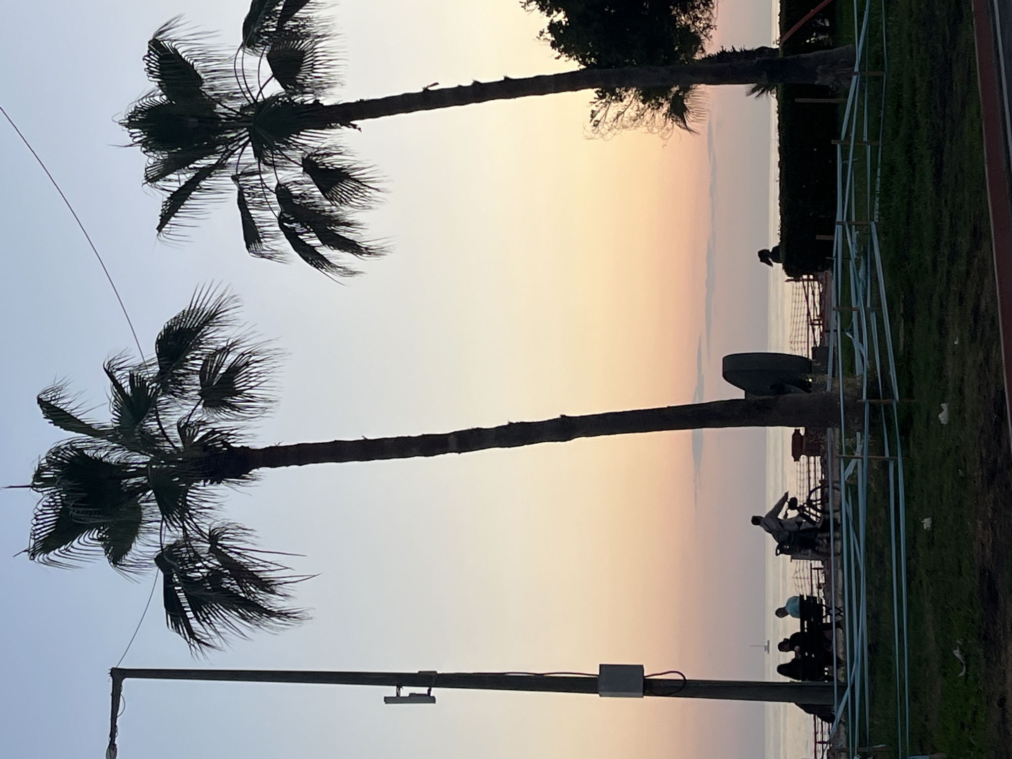 The image captures a twilight scene in Alanya, Turkey, featuring two prominent palm trees silhouetted against a pastel sky. The sky transitions from light blue to a soft orange hue near the horizon. The palm trees are the primary subjects, with their fronds partially obscuring the sky. In the lower right portion of the image, a grassy area with a metal fence is visible. Beyond the fence, people are seated on benches along what appears to be a waterfront promenade. A statue of a man with a bike is also visible near the benches. A utility pole with attached hardware is present in the lower left corner, extending vertically into the scene. The Mediterranean Sea is visible in the background, near the horizon.