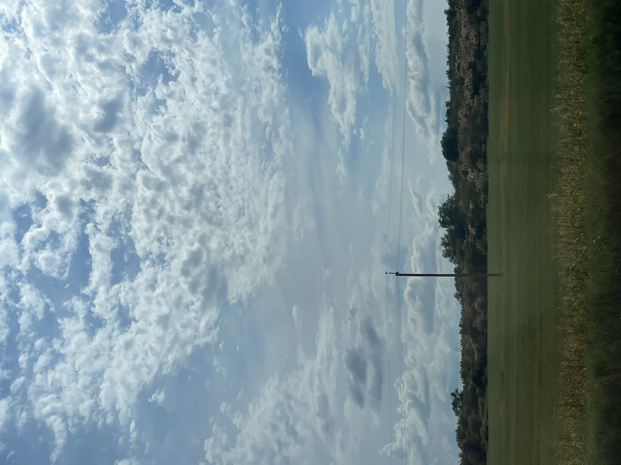 This media file is an image of a rural landscape with a focus on the sky and a field. The scene is dominated by a vast expanse of sky filled with a variety of clouds. Some are fluffy and white, appearing bright and sunlit, while others are more wispy and translucent, allowing glimpses of the blue sky behind them. There are also some darker, more ominous-looking clouds scattered throughout, suggesting potential for changing weather.
In the lower right portion of the image, a neatly mowed green field stretches out. Along the horizon, there is a dense line of trees forming a dark green border. Within this treeline, some lighter, pinkish foliage can be seen, possibly flowering shrubs or autumn leaves. A tall, thin utility pole with wires running from it is visible against the sky and the treeline, a common element in rural settings.
The image appears to be taken during the daytime, with the sun casting bright light on the clouds. The overall mood is serene and natural, evoking a sense of open space and the beauty of the sky. There are no people or animals visible in the image, and no text is present. The setting suggests a rural area, likely in the countryside, given the presence of fields, trees, and utility lines. The scene conveys a sense of tranquility and the expansive nature of the sky.
