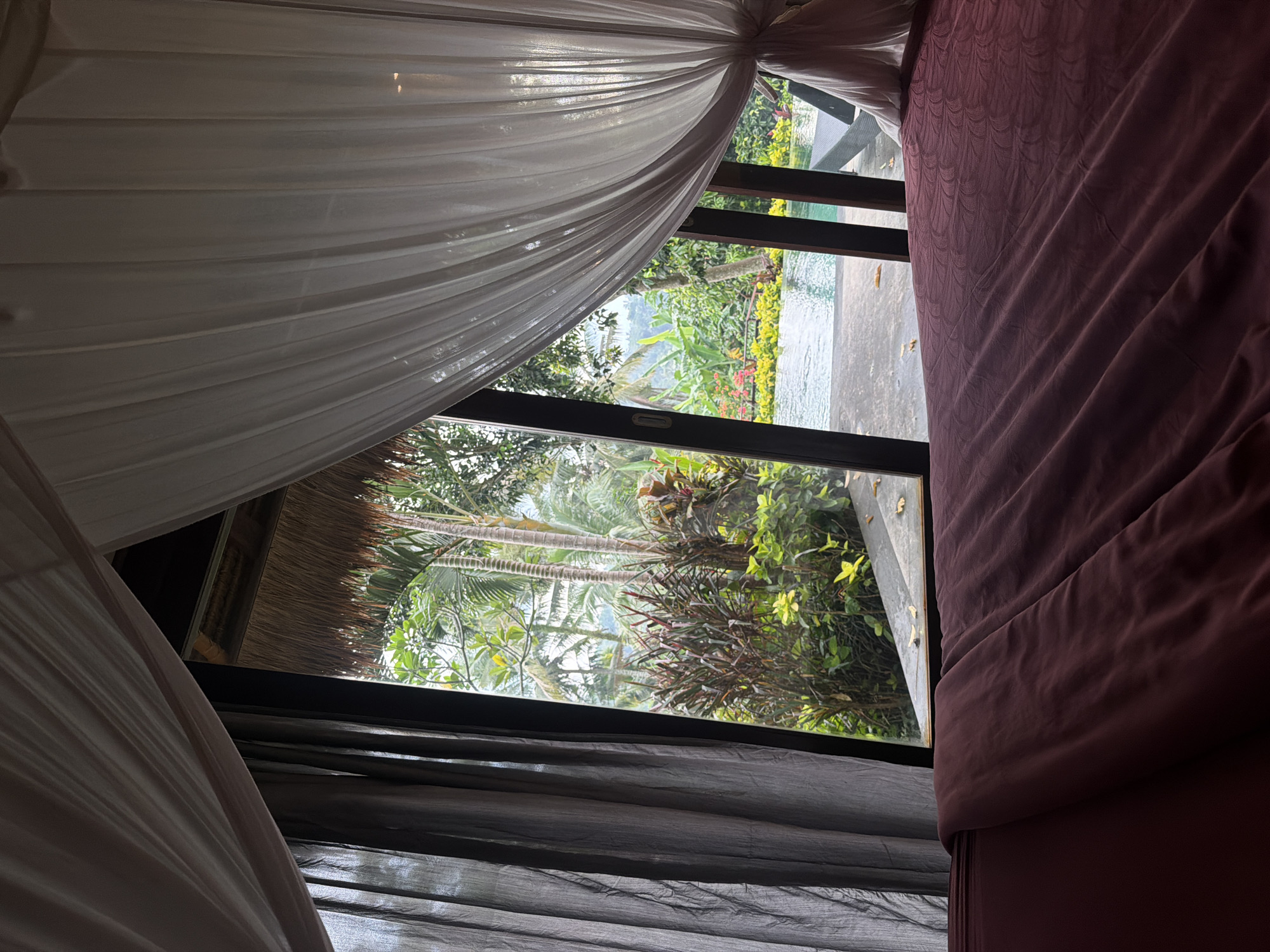 The image captures an indoor scene with a view to the outdoors, likely taken in Ubud District, Indonesia. The primary focus is a window frame through which a tropical landscape is visible, including lush vegetation and palm trees. The window is partly obscured by sheer white curtains on the left and darker gray ones at the bottom, creating a framed view. To the right, part of a bed covered with a dark reddish-brown duvet is visible. The outdoor scene suggests a tranquil, possibly resort-like setting, characterized by dense foliage and an abundance of greenery. The architecture hinted at in the landscape seems to incorporate natural materials, fitting with the Ubud area's aesthetic. There are no people visible. The image composition creates a sense of being indoors looking out at a serene tropical environment.