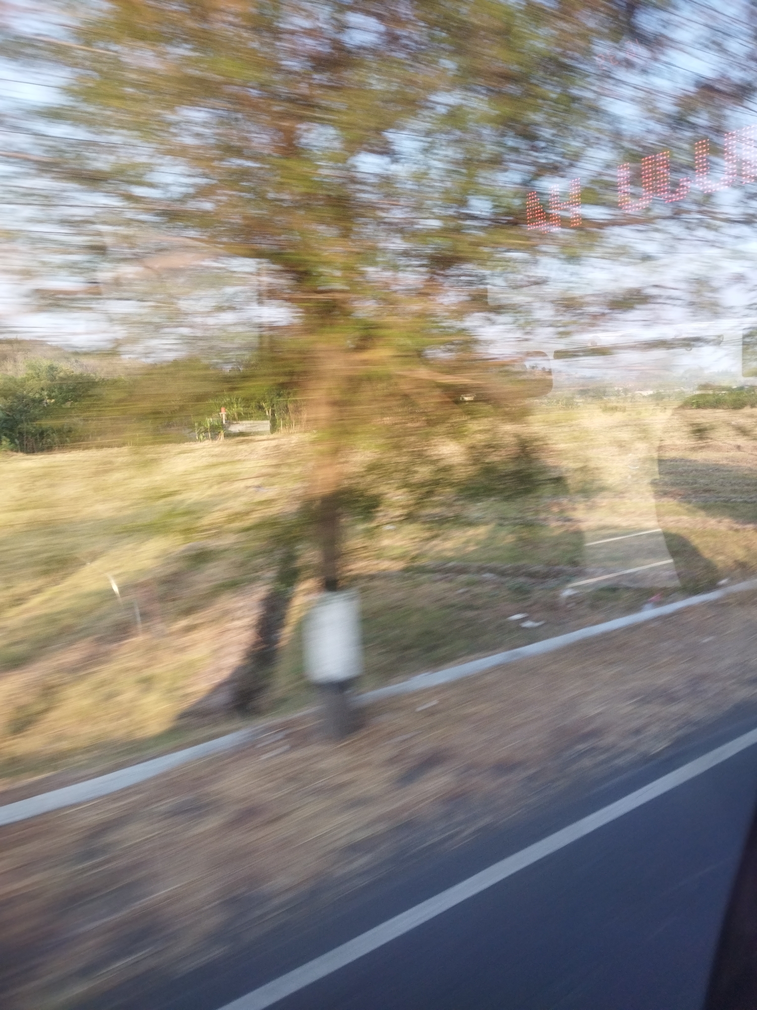 The image depicts a blurred, motion-effect view of a roadside environment, likely captured from a moving vehicle. In the foreground, a dark asphalt road with a white line is visible. Adjacent to the road is a strip of dry, brown grass and some scattered green foliage. Further back, a large tree with a visible trunk and branches, also blurred by motion, dominates the scene. Beyond the tree, a grassy field with some sparse vegetation and what appears to be a light-colored, cylindrical object or post is present. In the upper right portion of the image, a red illuminated sign with block letters is discernible through the blur. The background shows a bright, hazy sky with some hints of lighter clouds. The overall impression is a snapshot of a rural or semi-rural area in Selogiri, Indonesia, viewed during daytime with significant motion blur, suggesting travel.