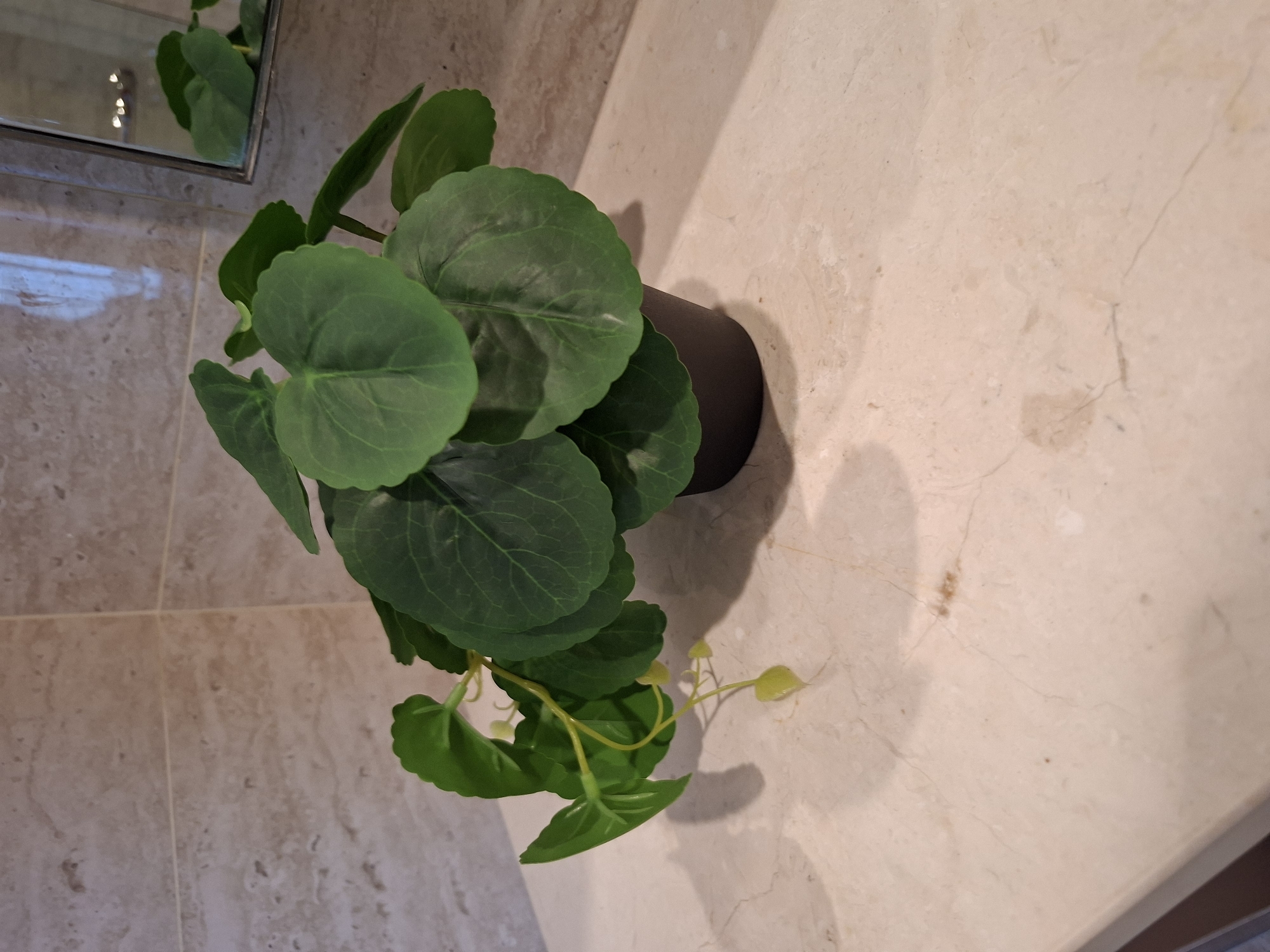 The image shows a potted artificial plant on a marble countertop. The plant has large, round, green leaves and is in a dark brown pot. The background consists of beige tiled walls. A mirror is visible in the upper right corner, reflecting some lights. The lighting suggests an indoor environment, likely a bathroom or vanity area. There is no indication of the specific location in West Jakarta, Indonesia, as the image lacks any recognizable landmarks or context clues related to that city.
