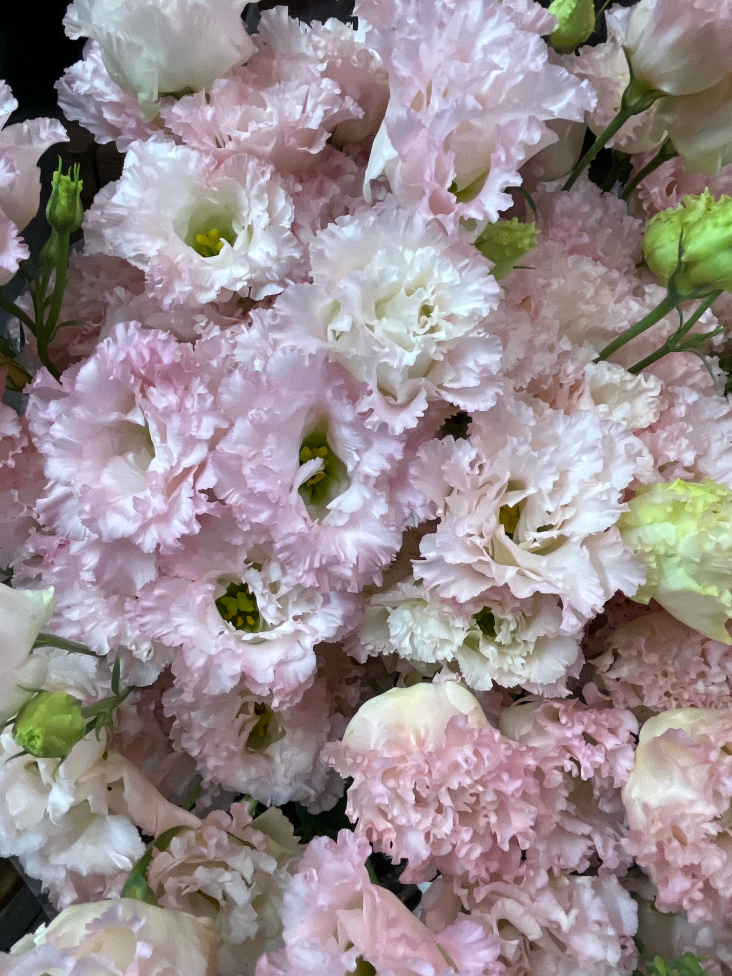 This is a close-up, overhead shot of a bouquet of pale pink and white flowers, possibly Eustoma (Lisianthus). The flowers are fully bloomed and have delicate, ruffled petals. Some buds are also visible, appearing as small green, unopened flower heads. The lighting is soft and diffused, highlighting the textures of the petals. The image does not contain any elements that would suggest a specific location in Kyiv, Ukraine.