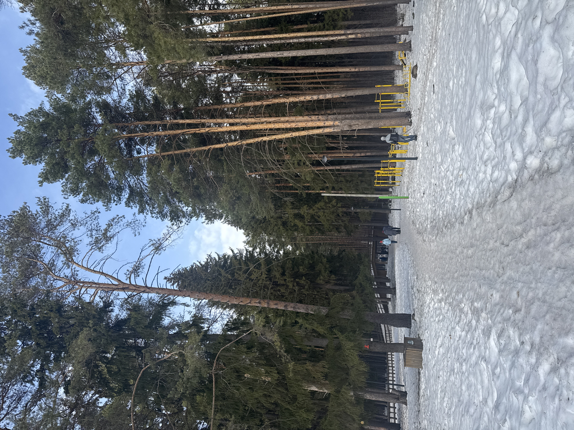 The image shows a snowy park scene in Votkinsk, Russia, lined with tall pine trees. The ground is covered in snow, with a path cleared for pedestrians. Along the path, there are yellow exercise bars, and a person is using one of them. Further down the path, there are other people walking. A wooden bench is visible along the path as well. The sky is visible between the trees and is a light blue with some clouds.