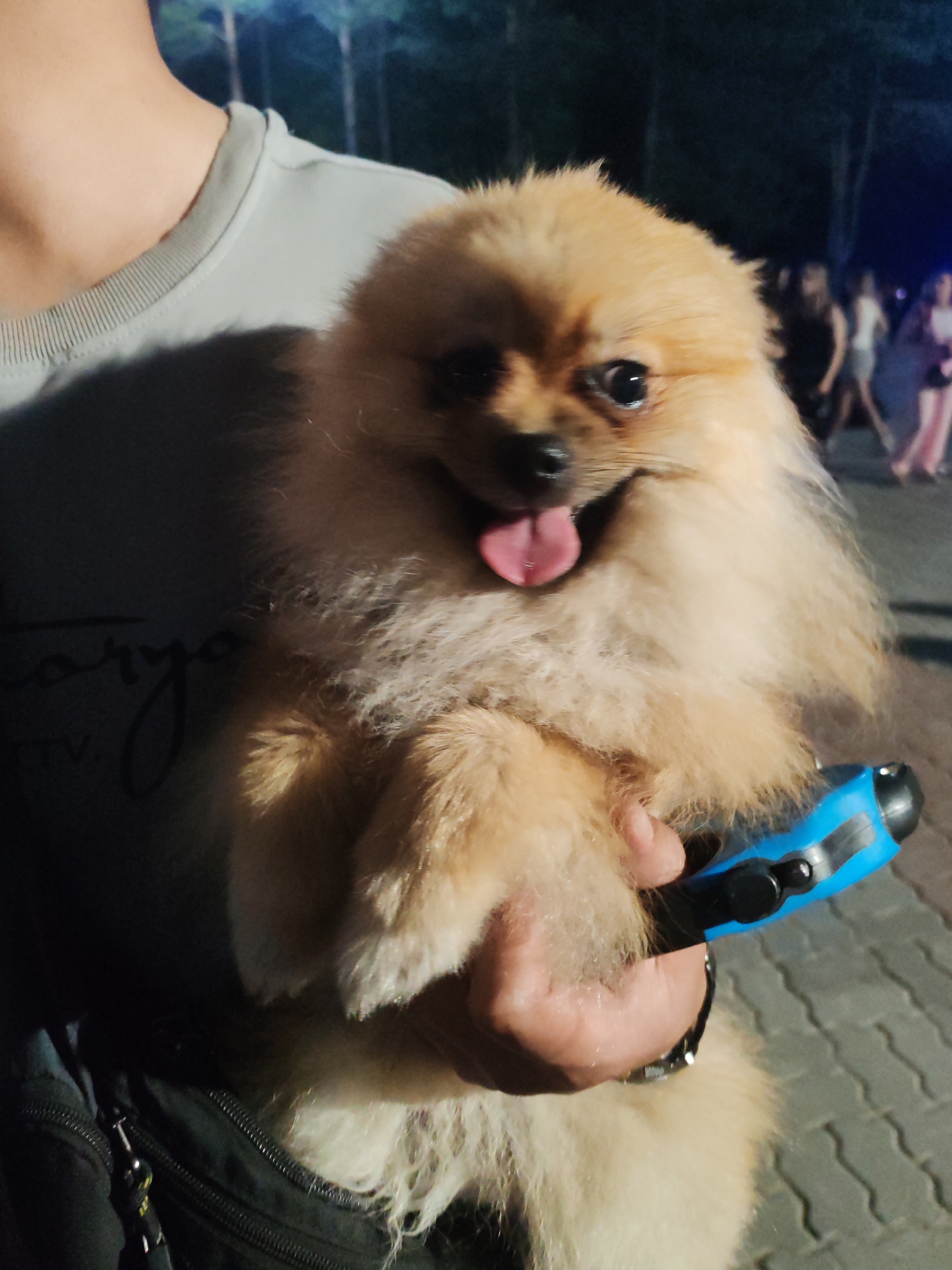 A Pomeranian dog is being held by a person. The dog is light brown and fluffy, with its tongue sticking out. The person is wearing a light gray t-shirt and a dark jacket. The person is holding a blue and black leash handle. In the background, there are blurry figures of people walking, suggesting an outdoor, possibly urban setting at night. There are trees visible in the far background, illuminated by artificial lights. The ground appears to be paved with light-colored hexagonal stones. The image was taken in Komsomolsk-on-Amur, Russia.