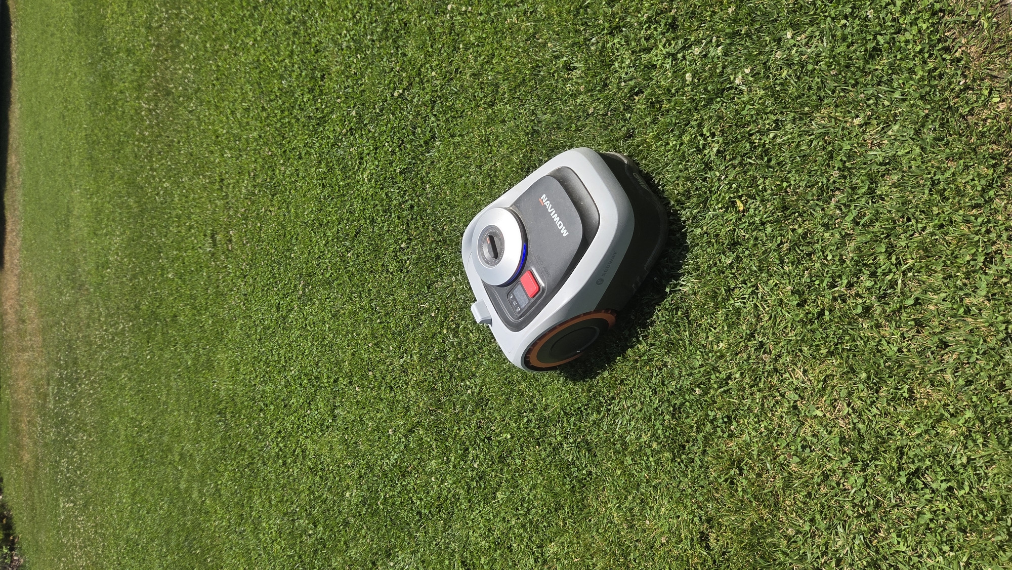 The image shows a robotic lawnmower on a green grassy lawn. The lawnmower is predominantly gray with some black and orange accents. It has a circular dial on top with a blue light and a red button. Text on the lawnmower reads "NAVIMOW" and "SEGWAY". The scene is outdoors, likely in a residential or park area, given the well-maintained lawn. The lighting suggests it is daytime, with sunlight casting shadows, indicating a sunny day. The image is taken from a slightly elevated angle, looking down at the lawnmower. There are no people visible in the image. The setting is consistent with a garden or yard in Bania, Bulgaria.