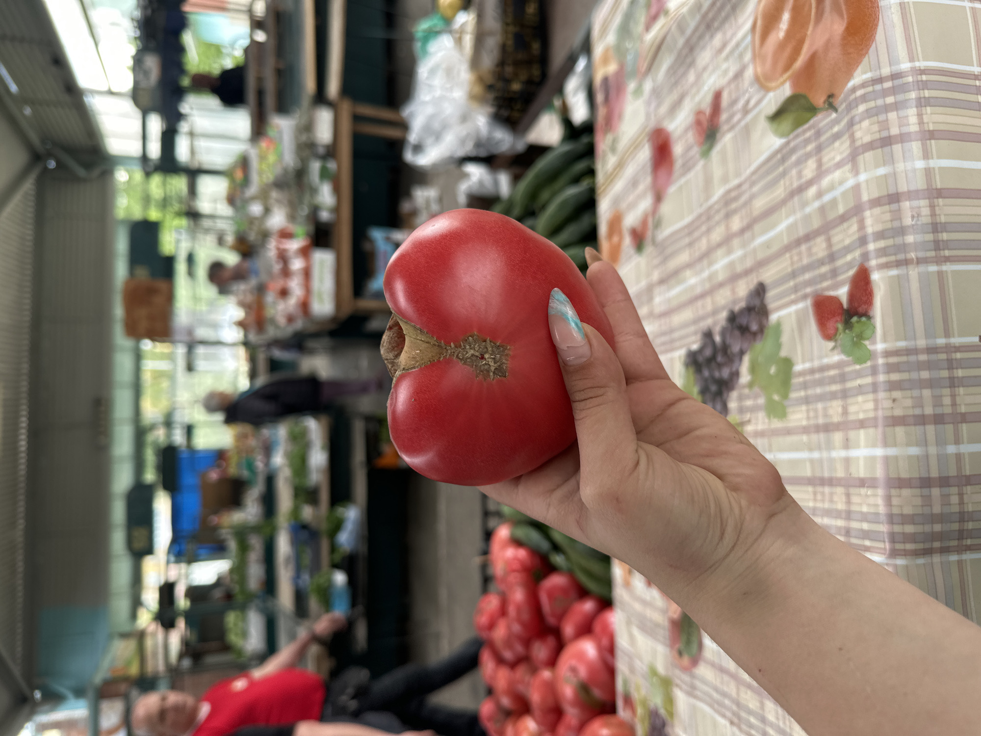 Here is a forensic description of the image:
**People:** A person's hand holds a tomato. There is also an individual wearing a red shirt and black pants, and another wearing a black shirt.
**Subjects:** A large, red tomato is the central subject, held up by a hand. Additional tomatoes are present in a display behind the hand. Other vegetables, possibly cucumbers, are also visible in the background.
**Objects:** A tomato, cucumbers, tablecloth, clothes, a food display.
**Actions:** A hand is holding a tomato.
**Interactions:** The hand interacts with the tomato, displaying it in front of a background of other vegetables.
**Environment:** The image appears to have been taken at a produce market. The table has a light plaid tablecloth with designs of fruit on it. The background shows the market environment, suggesting an outdoor setting. The specific city of Sliven, Bulgaria, cannot be confirmed from the image alone.