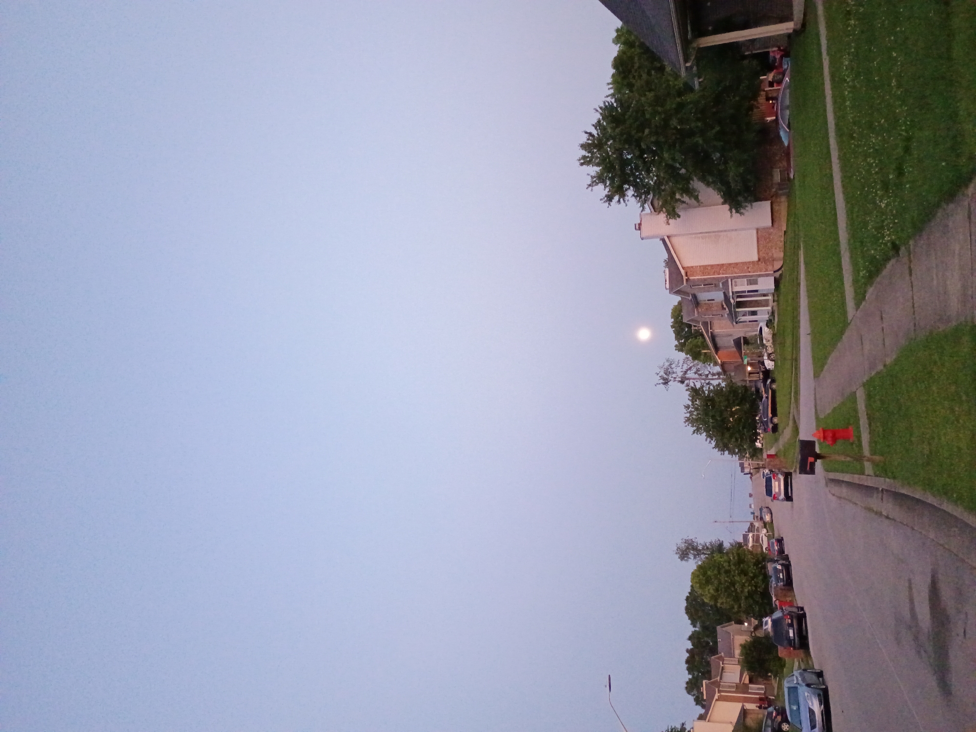 This image depicts a residential street scene in Nicholasville, Kentucky, USA, during twilight. The sky is a pale, clear blue, with a faint moon visible in the upper left quadrant. The street is asphalt, with a concrete sidewalk on the right side of the frame. Numerous parked cars are lining both sides of the street, including a blue sedan, a black SUV, and a silver SUV. Several houses with pitched roofs and some with visible chimneys are situated along the street. A red fire hydrant and a black mailbox stand near the sidewalk. Lush green grass covers the yards in front of the houses, interspersed with small white flowers. Trees are scattered throughout the scene, with some displaying dense foliage. The overall atmosphere suggests a quiet suburban evening.