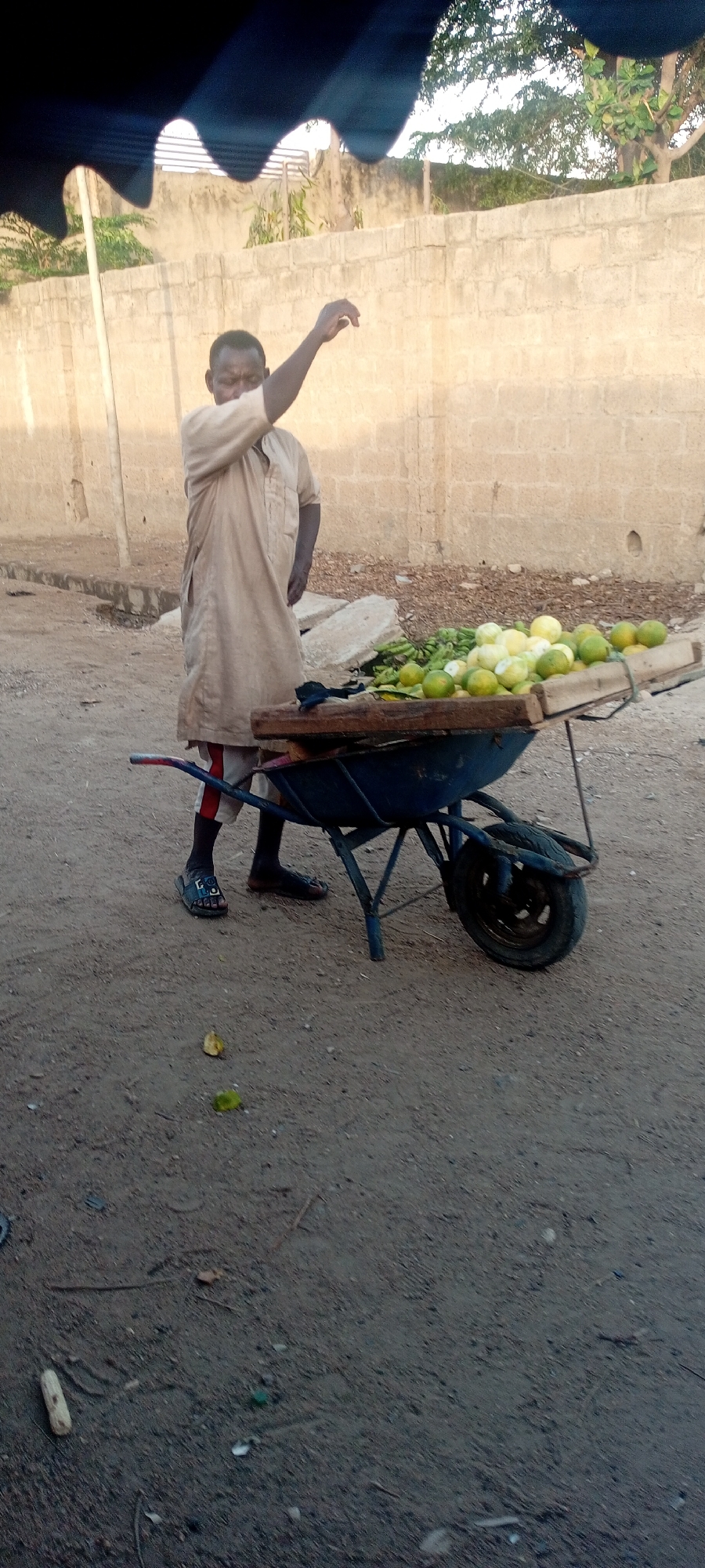 An outdoor scene in Gwagwarwa, Nigeria, depicts a dark-skinned male street vendor standing beside a blue metal wheelbarrow filled with produce. The man wears a light tan or beige long-sleeved tunic over white trousers with red vertical stripes on the lower legs, and dark open-toed sandals. His right arm is raised and bent at the elbow, with his hand open and fingers splayed, pointed slightly upward. His left arm is bent, with his hand resting near his waist. His head is slightly tilted, and his gaze is directed away from the camera.
The wheelbarrow, positioned to the right of the man, has a wooden plank secured across its top, serving as a display surface. This plank holds a large quantity of light green and yellow citrus fruits, possibly limes or small oranges, arranged in piles. Behind these fruits, a cluster of green bananas or plantains is visible. The wheelbarrow has a single front wheel and two support legs at the rear.
The ground is unpaved, consisting of packed dirt or sand, with scattered debris including small sticks, a white cylindrical object, and a small green cap. Two pieces of fallen green fruit are also visible on the ground directly in front of the wheelbarrow. In the background, a light-colored concrete block wall forms a boundary, with sparse green vegetation and tree branches visible above it. The top portion of the image is partially obscured by a dark blue or black fabric, suggesting an awning or overhead covering, which casts shadows. The lighting indicates daytime conditions.