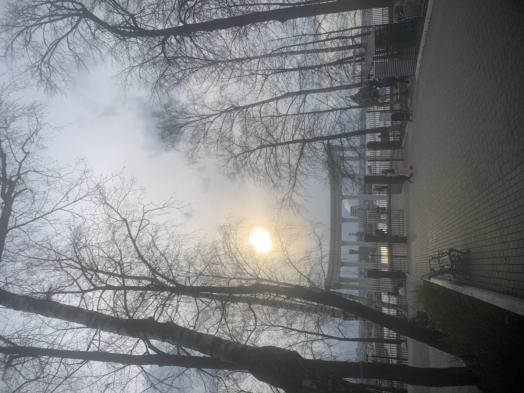The image depicts a park scene in Izhevsk, Russia on an overcast day. The sun is visible through the clouds and tree branches. Bare tree branches fill much of the sky. In the background, there is a colonnade structure, partially obscured by fog. A paved walkway extends into the distance, with benches and fences along its side. Two people, one in pink, are walking along the path near the colonnade. The overall atmosphere is muted and slightly hazy due to the weather conditions.