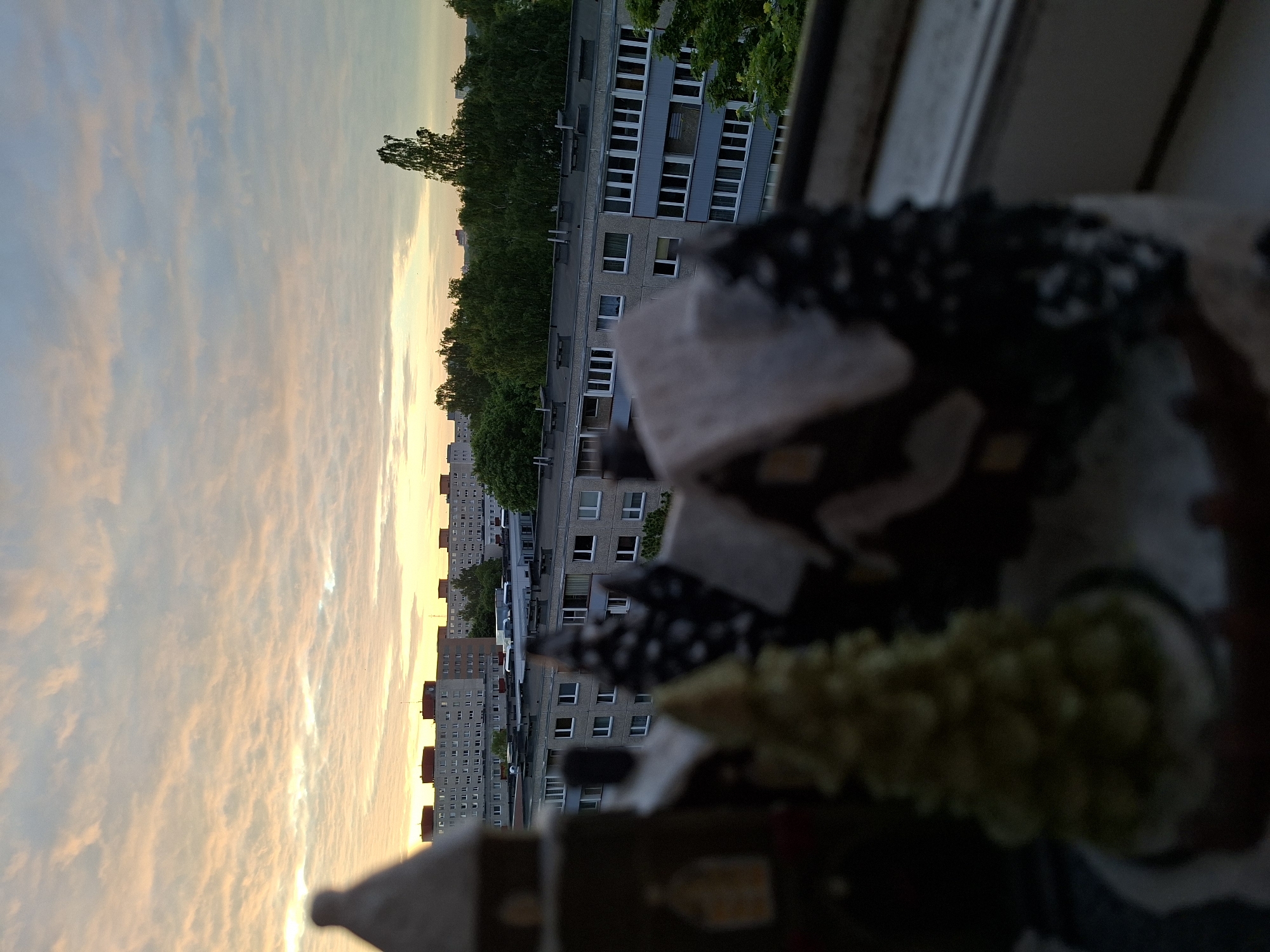 The image captures a panoramic view of a city landscape during either sunrise or sunset, characterized by warm, soft light. The photograph is taken from a slightly elevated position, likely a balcony or window.
In the blurred foreground, a collection of small, decorative objects is visible, resting on what appears to be a ledge or railing. These include what looks like miniature houses or buildings with defined roofs and walls, a small, textured, green-yellow object resembling a miniature tree or shrub, and other indistinct shapes. These objects suggest the vantage point is from a residential space.
The midground features several multi-story apartment buildings, typical of Soviet-era architecture, with rectangular windows and a concrete or panel facade. A dense line of green trees runs between and in front of some of these buildings, creating a natural barrier and a sense of depth. In the distance, more buildings extend along the horizon.
The sky dominates the upper portion of the scene, displaying a striking blend of colors. Hues of soft orange, pink, and yellow gradually transition into light blue, indicating the golden hour of either a sunrise or sunset. Long, streaky clouds traverse the sky, reflecting these warm tones. The overall atmosphere is calm and serene.
There are no people visible, nor any specific activities taking place, contributing to the tranquil nature of the scene. No discernible text is visible within the image. The architectural style of the buildings is consistent with the provided location context of Tallinn, Estonia.