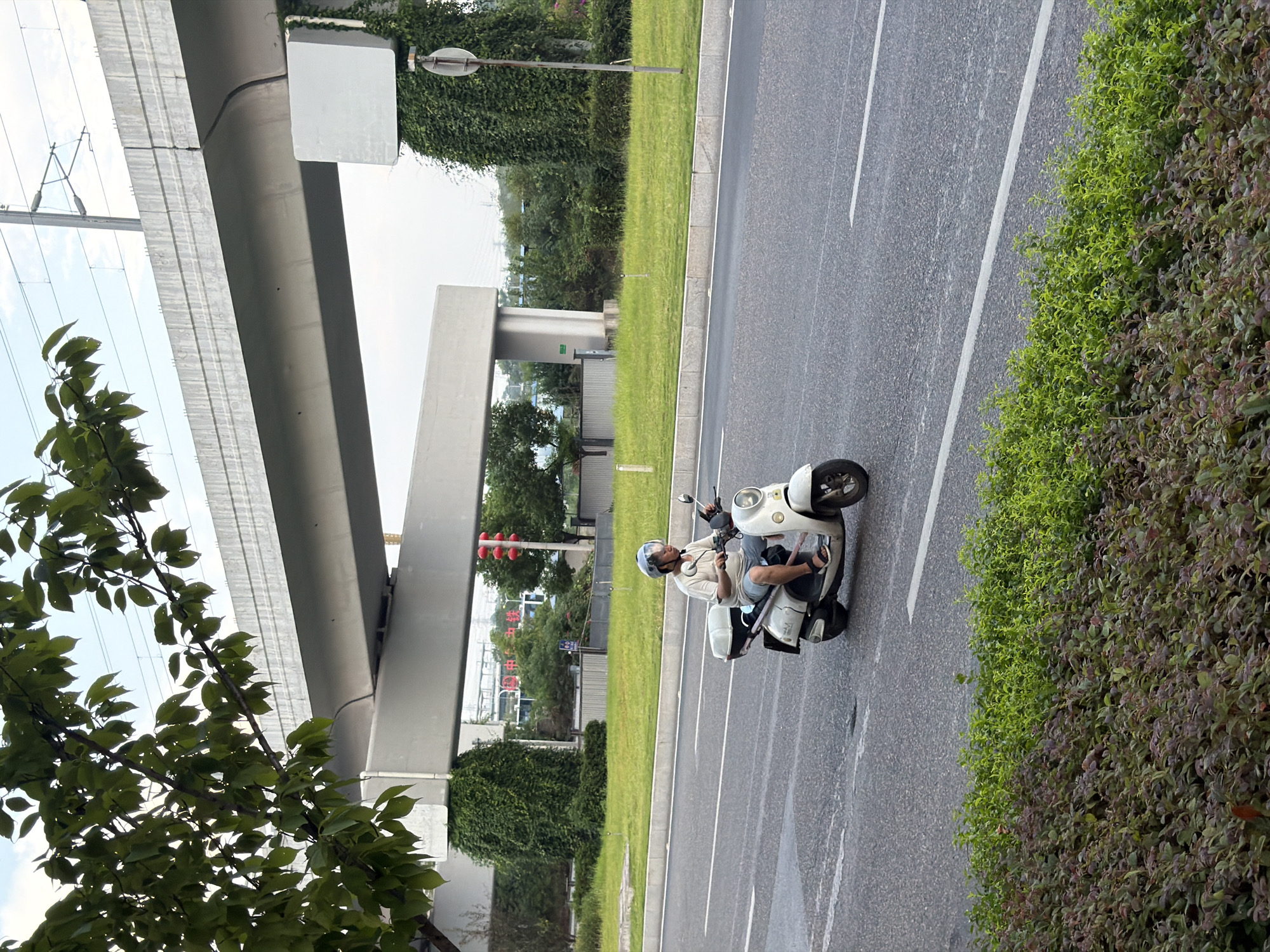A middle-aged man wearing a helmet and a light-colored short-sleeved shirt is riding a white electric scooter on a paved road. He is wearing shorts and sandals. The scooter has a gray storage box on the back. The road has white lane markings. In the background, there is a large elevated concrete structure, possibly a bridge or overpass, covered in green vines on its support pillars. Beyond that, there are trees, buildings, and a traffic light with red lights visible. The sky is overcast. Lush green grass and bushes line the side of the road. This scene is located in Jiangjin, China.