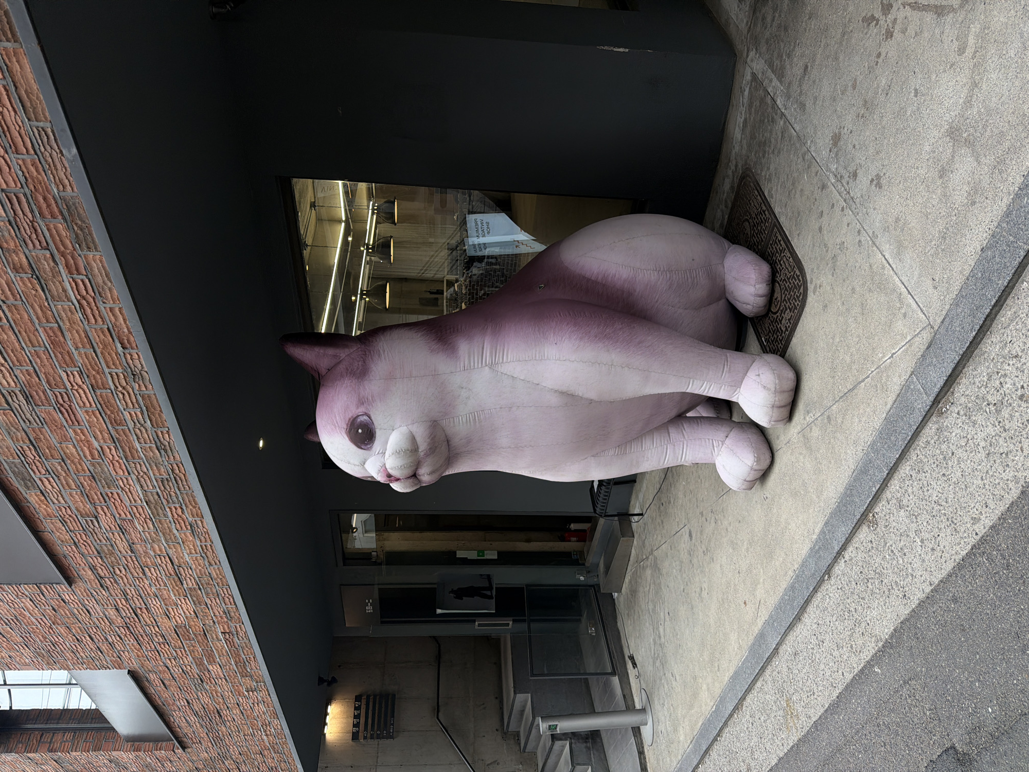 A giant, inflated, light pink cat with darker pink details lies on a concrete sidewalk in Seoul, South Korea. The cat is positioned in front of a building entrance, partially covered by the overhanging structure. The building features a brick facade on one side, transitioning to a modern black design. A glass door and windows reflect the interior lighting and elements within the building. Stairs lead up to the entrance. The sidewalk itself is a mix of concrete slabs and sections of asphalt.