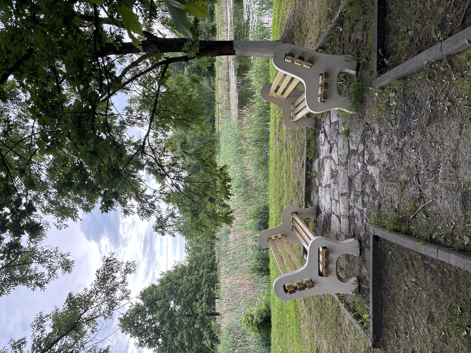 The image depicts a serene park scene with two empty park benches facing each other, separated by a stone-paved pathway. The benches have white concrete bases with wooden slats for seating and backrests. They are positioned on a grassy area. Beyond the benches, a body of water, likely a pond or lake, is visible, bordered by tall reeds and lush green trees. The sky is overcast with scattered clouds. The location is identified as a park in Pastavy, Belarus. No people or animals are present in the image.