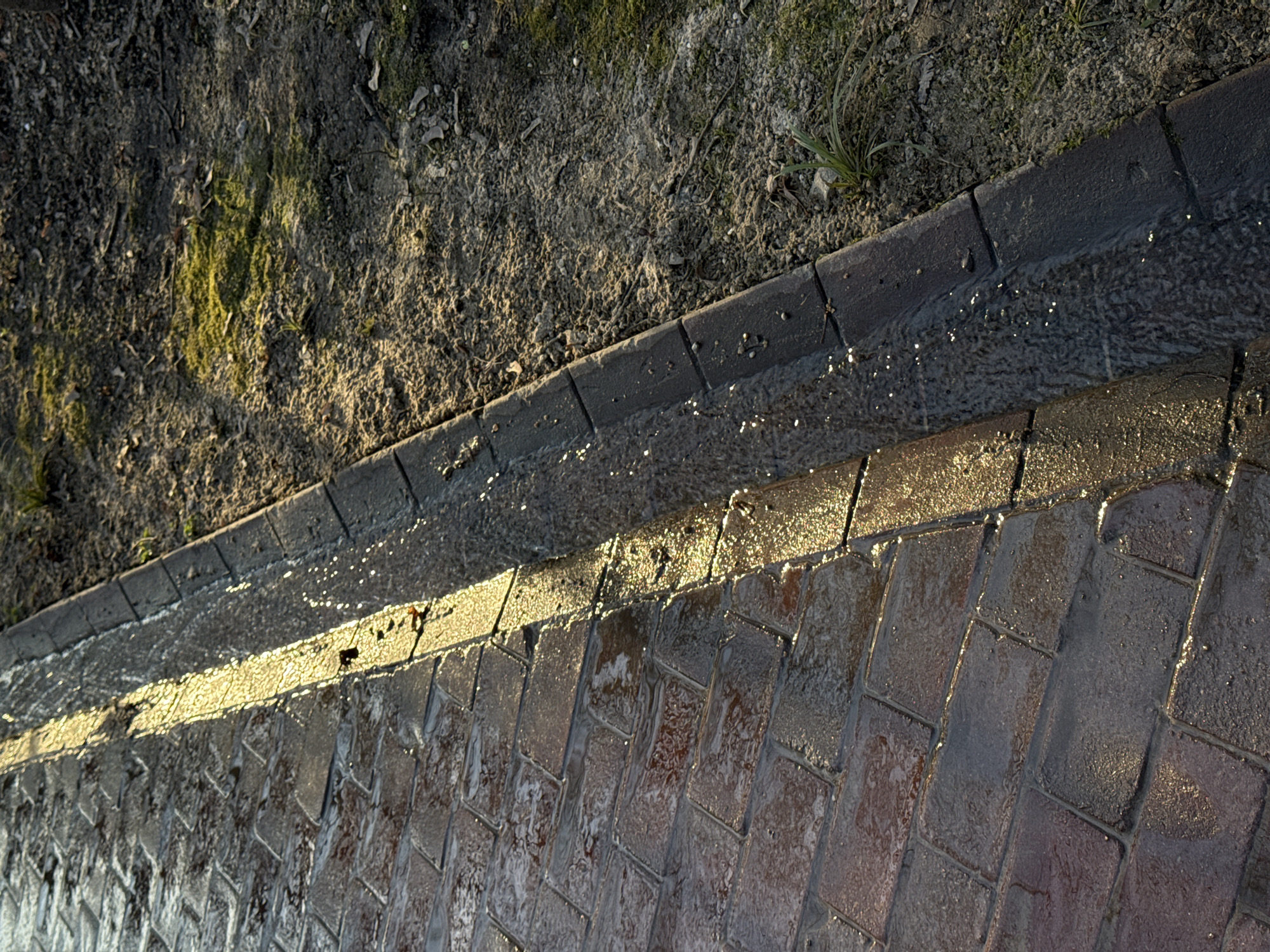 The image depicts a section of a drainage system along a brick-paved area, likely a walkway or sidewalk. The drainage system is constructed from dark-colored rectangular bricks. Water flows along the channel, reflecting light and creating highlights. Adjacent to the drain is an area of earth and sparse vegetation, including some moss. The bricks appear damp, possibly due to recent rain or the flow of water in the drainage system. The location is likely a public area in Moscow, Russia.
