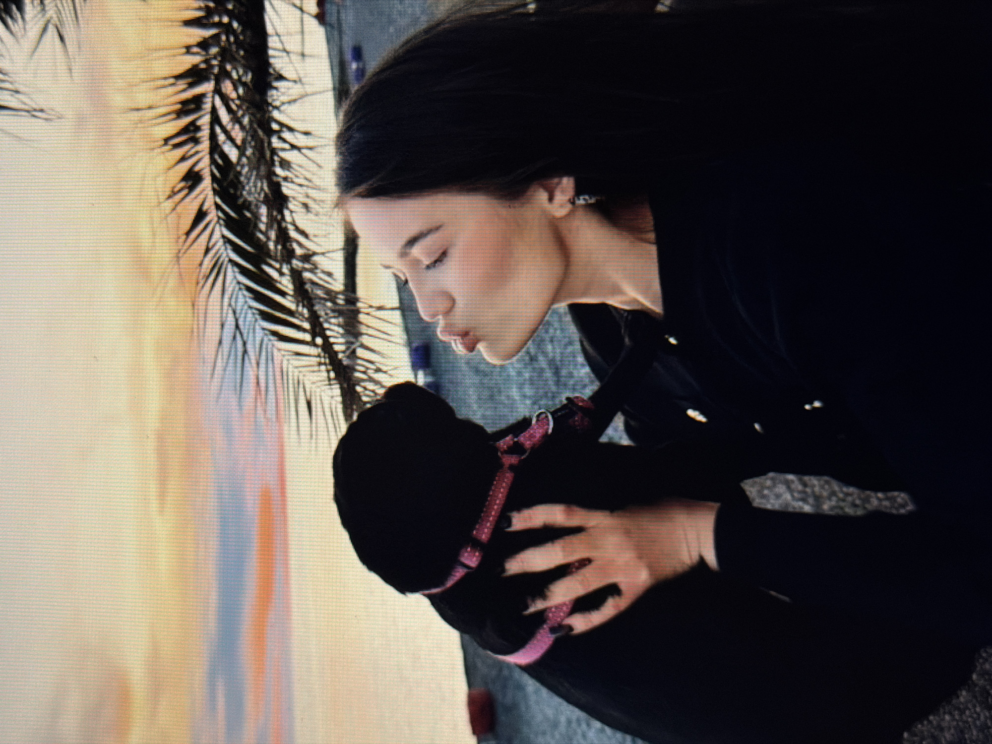 A young woman with dark hair and fair skin is in the foreground, leaning in to kiss a black puppy. She is wearing a dark jacket and a pink collar is visible on the puppy. The background shows a beach scene with a palm tree and a sunset over the water. The image is a photograph taken at dusk.