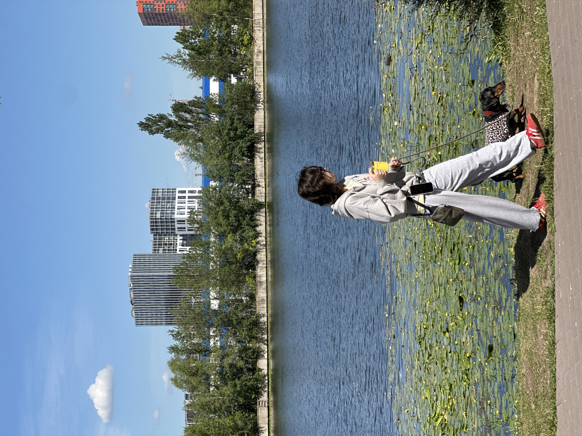 A person in grey sweatpants and a grey hoodie stands on the grassy bank of a body of water, holding a yellow object, possibly a phone or camera. They are looking down at the object. Beside them, a dachshund wearing a leopard-print bandana on a leash looks up and to the left. The water is covered with lily pads and small yellow flowers. In the background, a concrete wall separates the water from a line of trees and modern buildings. The sky is clear and blue, with a few scattered clouds. The sun appears to be high in the sky, suggesting it is daytime, likely midday. The scene appears to be a park or waterfront area in Moscow, Russia, judging by the architectural style of the buildings and the overall urban park setting. The person's posture and the activity suggest a relaxed moment, perhaps taking photos or checking something on their device while walking their dog.