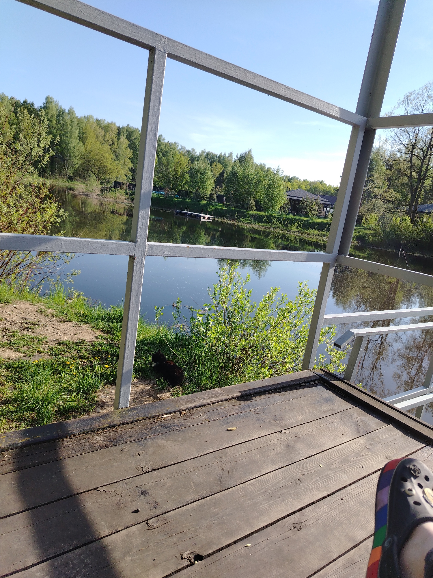 The image shows a view from a wooden deck overlooking a body of water, likely a lake or pond. A structure with a white metal frame partially obstructs the view. The foreground consists of wooden planks, and a partially visible foot wearing a black and rainbow-striped shoe is in the lower right.
Beyond the frame, the view opens up to a body of water with reflections of the sky and trees. The opposite shore is lined with trees, some with brighter green foliage, suggesting spring or early summer. A few buildings are visible among the trees on the far bank. At the water's edge in the mid-ground is a patch of grass and a small, dark-colored animal, possibly a cat or dog, resting near the vegetation.
The scene is likely located in Stroitel', Russia.