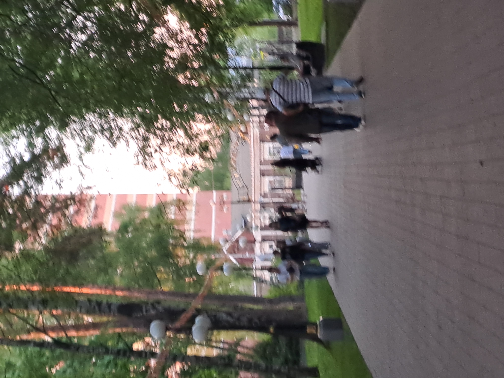 The image depicts a street in Noginsk, Russia. A paved pedestrian walkway stretches into the distance, lined by trees. People are walking along the path. A building can be seen between the trees. There are street lamps present along the path. The time of day appears to be dusk or early evening. The environment is a mix of natural and urban elements.