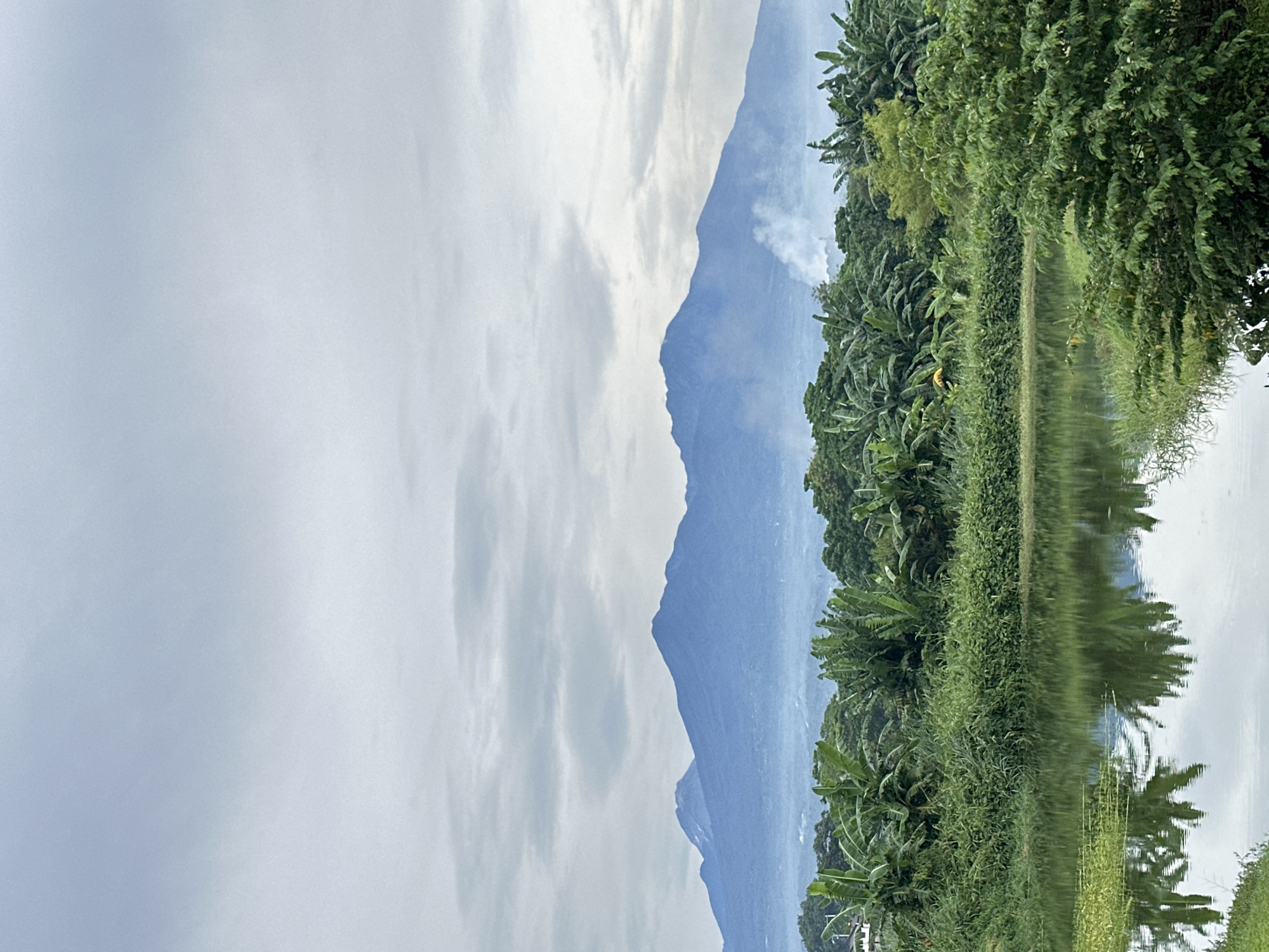 This is a vertical, eye-level, full shot of a serene landscape in Davao City, Philippines. The foreground is dominated by a calm body of water, reflecting the lush greenery and the overcast sky. The middle ground features a dense line of vegetation, characterized by tall, broad-leafed plants, possibly banana trees, interspersed with smaller, bushier green foliage. In the background, a range of majestic mountains rises, shrouded in a light haze. The sky is predominantly cloudy, with a diffused light, suggesting it might be early morning or late afternoon. Wisps of smoke are visible rising from the foothills of the mountains, indicating potential activity in the distance. The overall impression is one of natural beauty and tranquility.