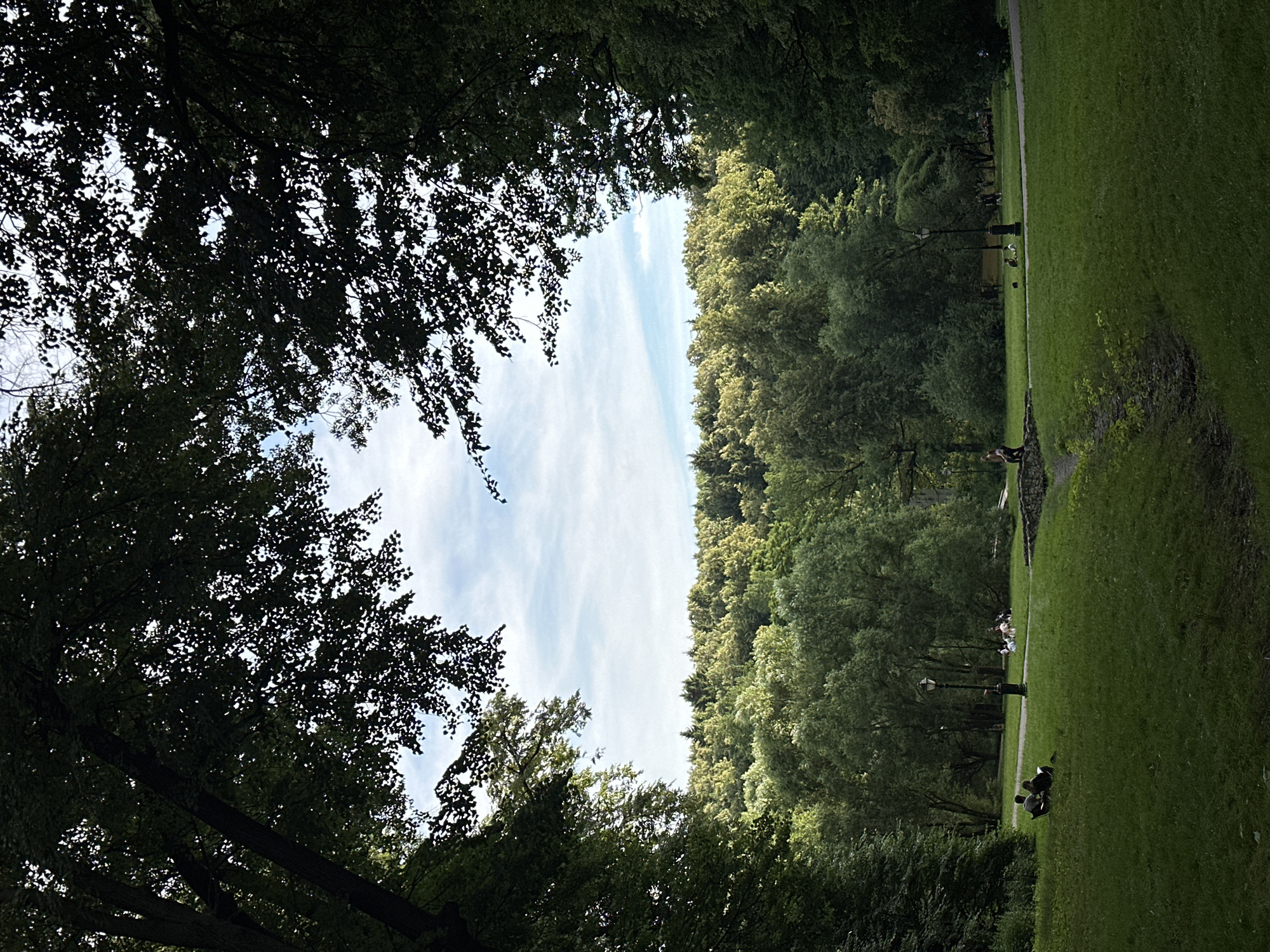 The image depicts a park scene, likely in Moscow, Russia, with lush green grass and mature trees framing the view. In the foreground, a grassy slope leads down to a pathway where two individuals are seated on a bench, facing away from the camera. Further into the park, several other small groups of people are visible, some sitting on the grass and others walking along the paths. A lamppost stands near the pathway, and a stone bridge spans a small stream or ditch in the mid-ground. The background is filled with a dense forest that extends to the horizon, with the sky visible above, featuring scattered clouds. The overall atmosphere is tranquil and suggests a leisurely day in a natural setting within the city.