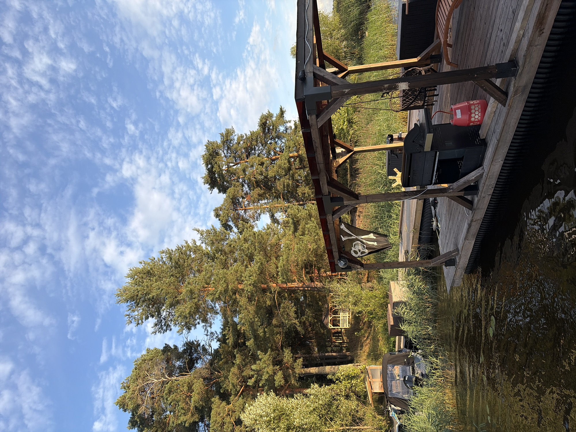 The image depicts a waterfront scene in Vidogoshchi, Russia, on a sunny day with a partly cloudy sky. A wooden dock extends into the dark, rippling water, bordered by tall reeds. On the dock, a covered grill and a red bucket are visible. A black pirate flag with a skull and crossbones hangs from a wooden pergola that provides shade. Behind the dock, a dense forest of tall pine trees stands on a gentle slope. In the distance, a small, ornate wooden gazebo can be seen nestled amongst the trees. Several boats are moored to another section of the dock on the left side of the image. The overall impression is one of a peaceful, rustic outdoor recreational area.