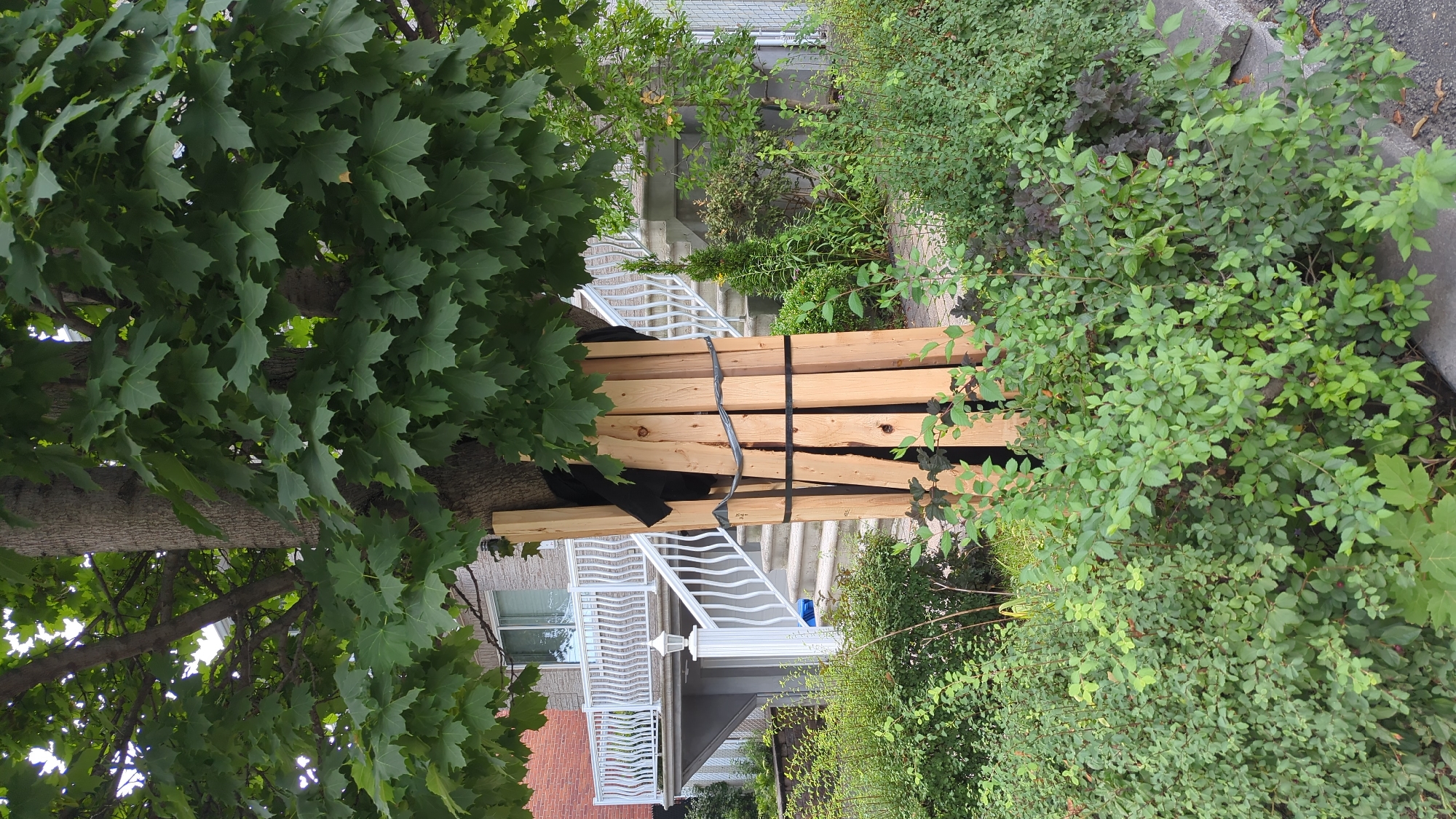 The image shows the base of a large tree trunk, wrapped with wooden planks and black tape, located in a residential area in Montreal, Canada. The tree has a thick, rough bark and is covered in lush green leaves. Surrounding the tree is dense foliage of various green bushes and plants, with a sidewalk or stone border visible in the foreground. In the background, a modern residential building with a gray facade, white railings, and a staircase can be seen. The scene appears to be a daytime exterior shot, likely during the summer season, given the foliage. No people are visible in the image.