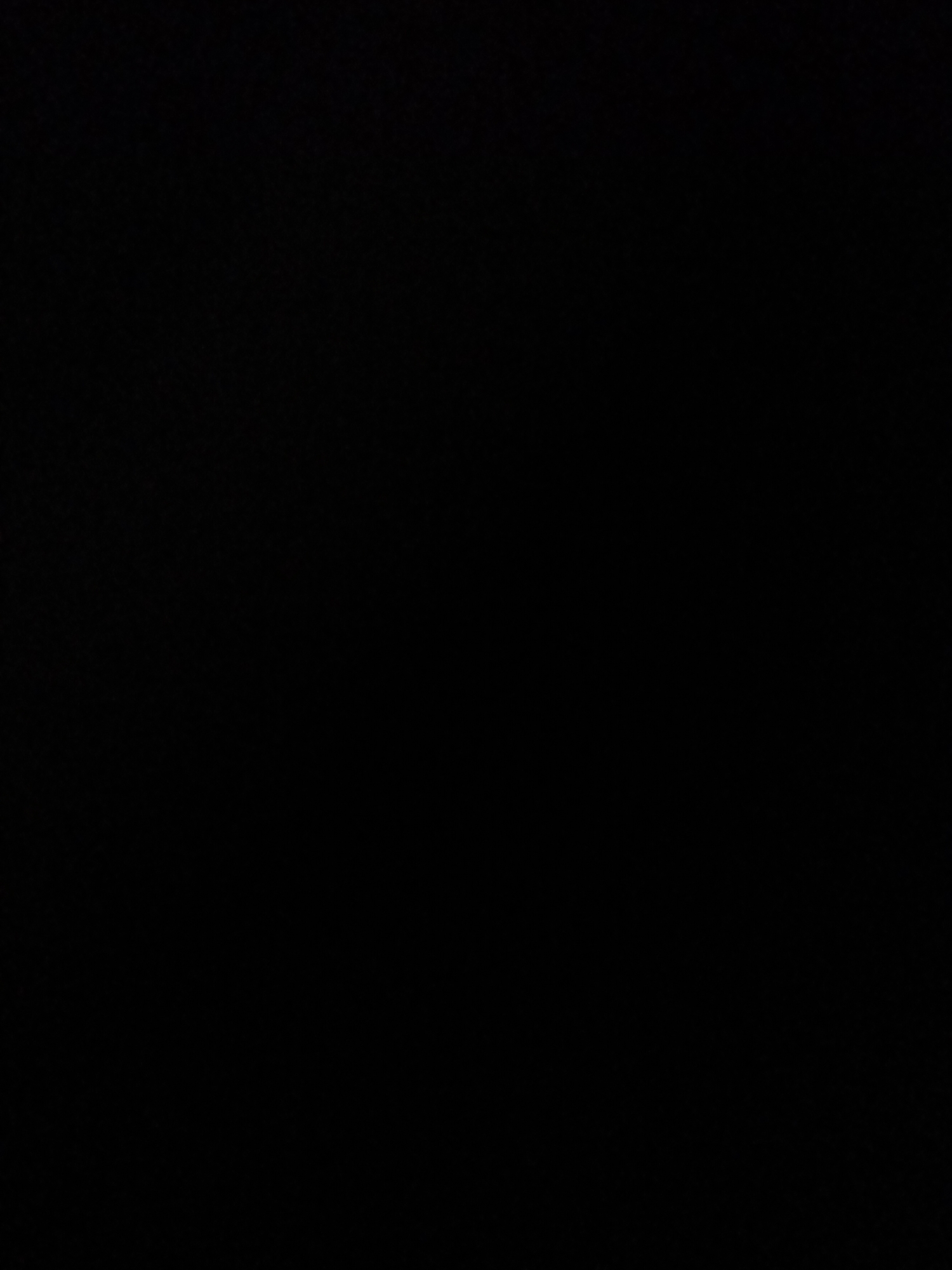 This media file is a completely black image. There are no discernible subjects, objects, scenes, activities, or text visible. The image provides no information about time of day, weather, location cues, or emotions.