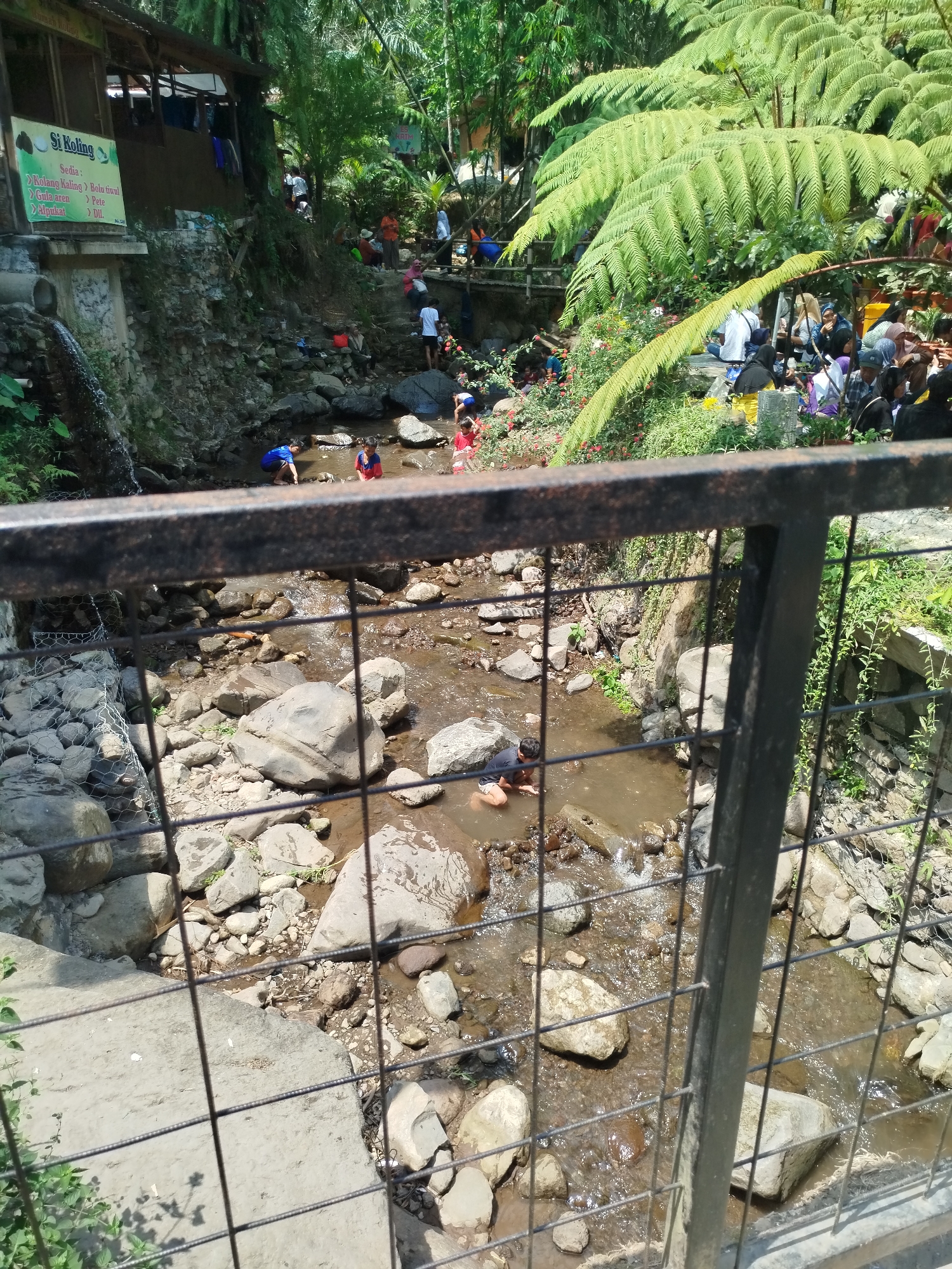 The image shows a group of people, including adults and children, gathered at a shallow river with rocky banks. The river flows through a natural environment with lush green vegetation and large ferns overhead, suggesting it's a park or recreational area. Some people are wading in the water, while others are sitting or standing on the banks. A wooden structure, possibly a shop or shelter, is visible on the left side of the image, with signage indicating it is "Si Koling" which serves "Kolang Kaling", "Bolu Tiwul", "Gula Aren", "Pete", and "Alpukat". The scene appears to be a lively gathering, likely a tourist spot in Ngesrepbalong, Indonesia, where people are enjoying the outdoors and the water. A metal fence is in the foreground, partially obscuring the view of the river and the people.
