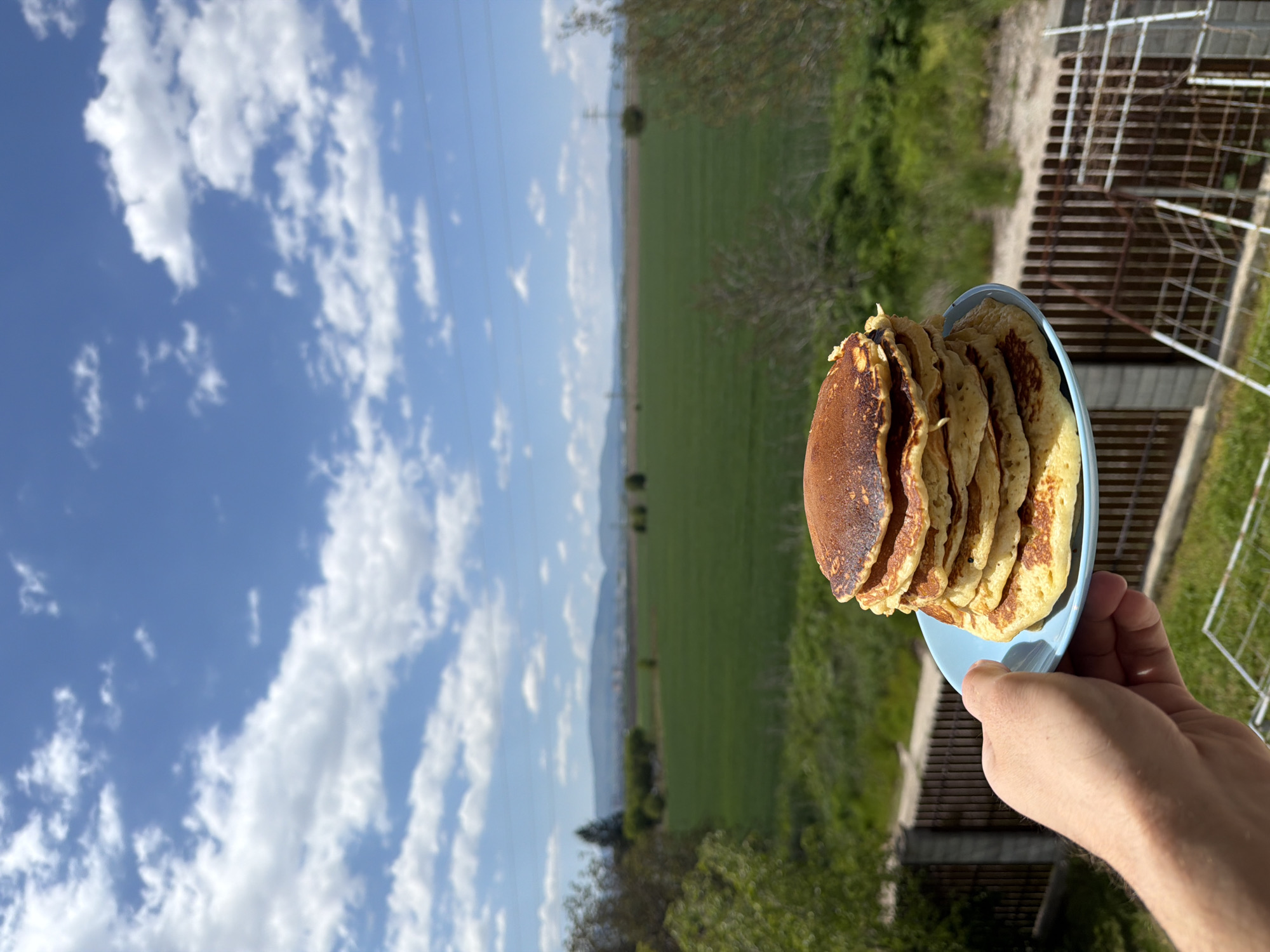 A hand holds a blue plate of stacked pancakes in front of a rural landscape under a blue sky with scattered clouds. The pancakes are golden brown. Behind the plate is a green field and distant trees under a partially cloudy sky. A metal fence is visible on the right. Electrical lines can be seen cutting across the horizon line. The photo appears to have been taken in an unspecified location.