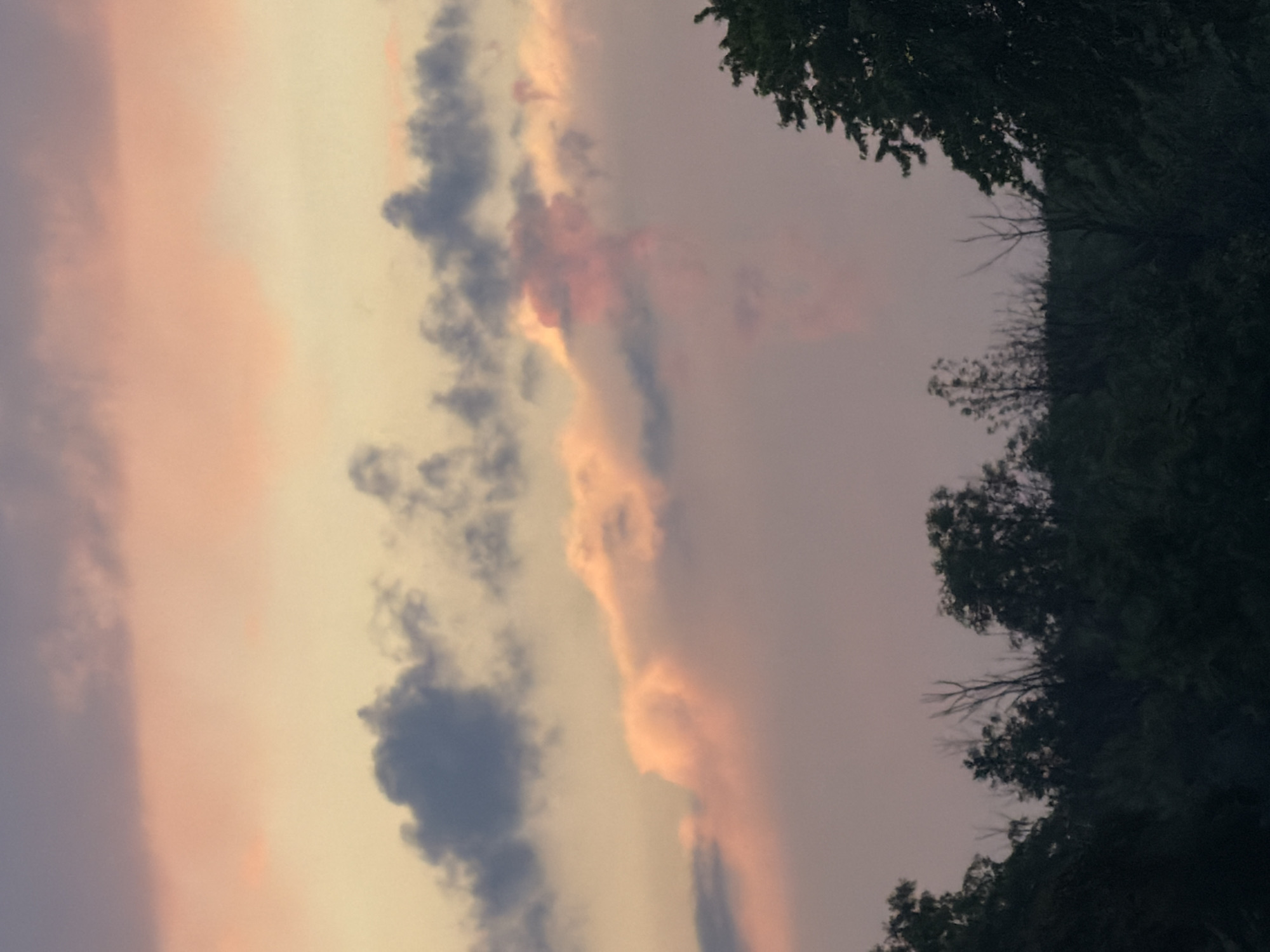 This image shows a cloudy sky over a silhouetted landscape of trees and vegetation, likely at dusk or dawn. The sky displays a gradient of colors, with hues of pink, orange, and purple. Darker, more defined clouds are visible in the upper portion of the sky, contrasting with softer, lighter clouds below. The lower part of the image is dominated by the dark shapes of trees and foliage, with some bare branches of deciduous trees visible among the denser greenery. The overall impression is a natural scene, devoid of human activity or any specific identifiable structures or landmarks that would indicate its location within Buffalo Grove, United States of America.