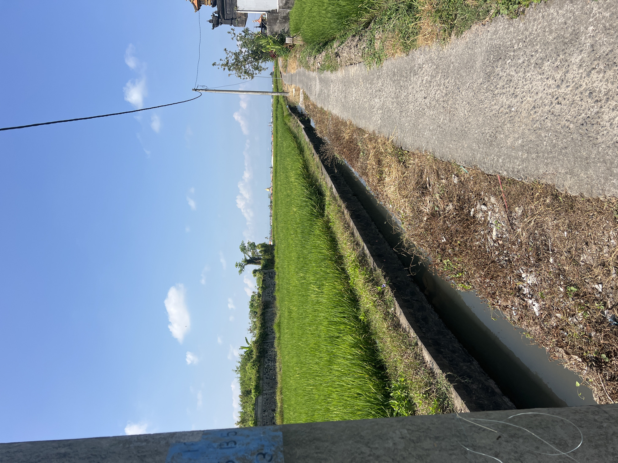 A concrete path runs alongside a narrow, dark water channel through a lush green rice paddy field under a bright blue sky with scattered white clouds. The path leads towards the distance, where a few trees and buildings are visible on the horizon. A utilitarian gray utility pole stands on the right side of the path, with electrical wires extending from it. The left side of the image is dominated by a tall, gray concrete post with blue markings on it. The rice paddy, a vibrant green, stretches out to the left of the channel and path, bordered by a stone wall topped with vegetation in the background. To the right of the path, beyond the utility pole, is a wall with traditional Balinese architecture, suggesting the location is in a village or rural area. The overall scene depicts a tranquil agricultural landscape in Mengwi, Indonesia.