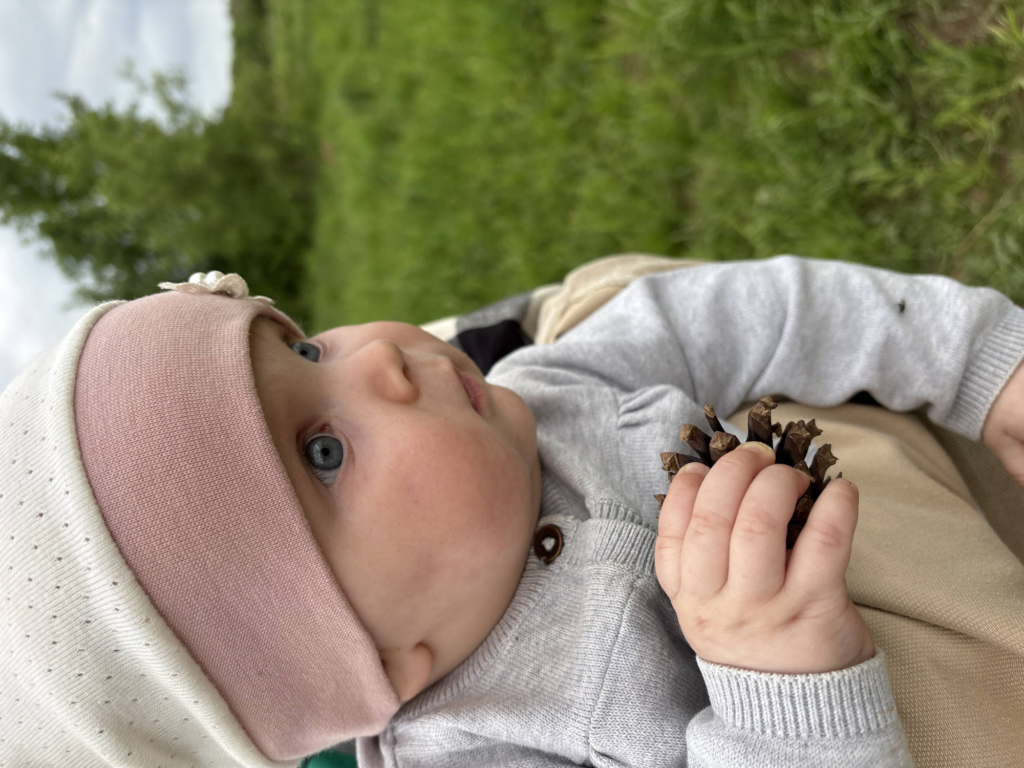 The image depicts a baby lying on a surface, possibly a blanket, with a grassy background suggesting an outdoor setting. The baby is wearing a pink and white hat with a small flower-like embellishment and a gray sweater. The baby's skin is fair, and they have blue eyes. They are holding a pine cone in their right hand. There is no clear indication this photo was taken in Votkinsk, Russia.