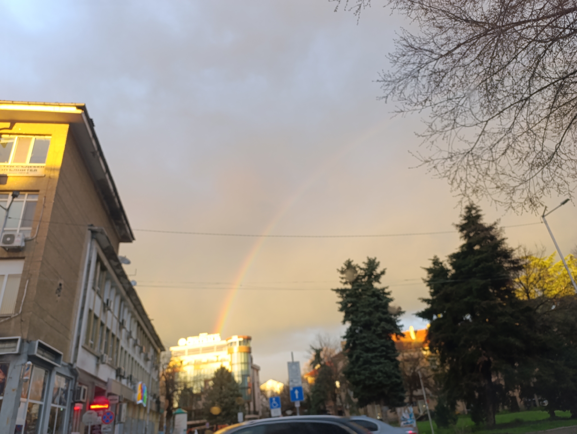 The image depicts a street scene in Haskovo, Bulgaria, featuring a rainbow arching across the sky. The view is looking down a street lined with buildings and trees. On the left is a multi-story building with many windows, some with air conditioning units. Further down the street, a more modern glass-fronted building reflects sunlight. Three evergreen trees stand on the right side of the road. Bare branches of a deciduous tree fill the upper right corner of the frame. A traffic sign is visible near the center of the image. Cars are present in the lower portion. The sky is overcast and appears to be lit by the setting sun, creating golden light.