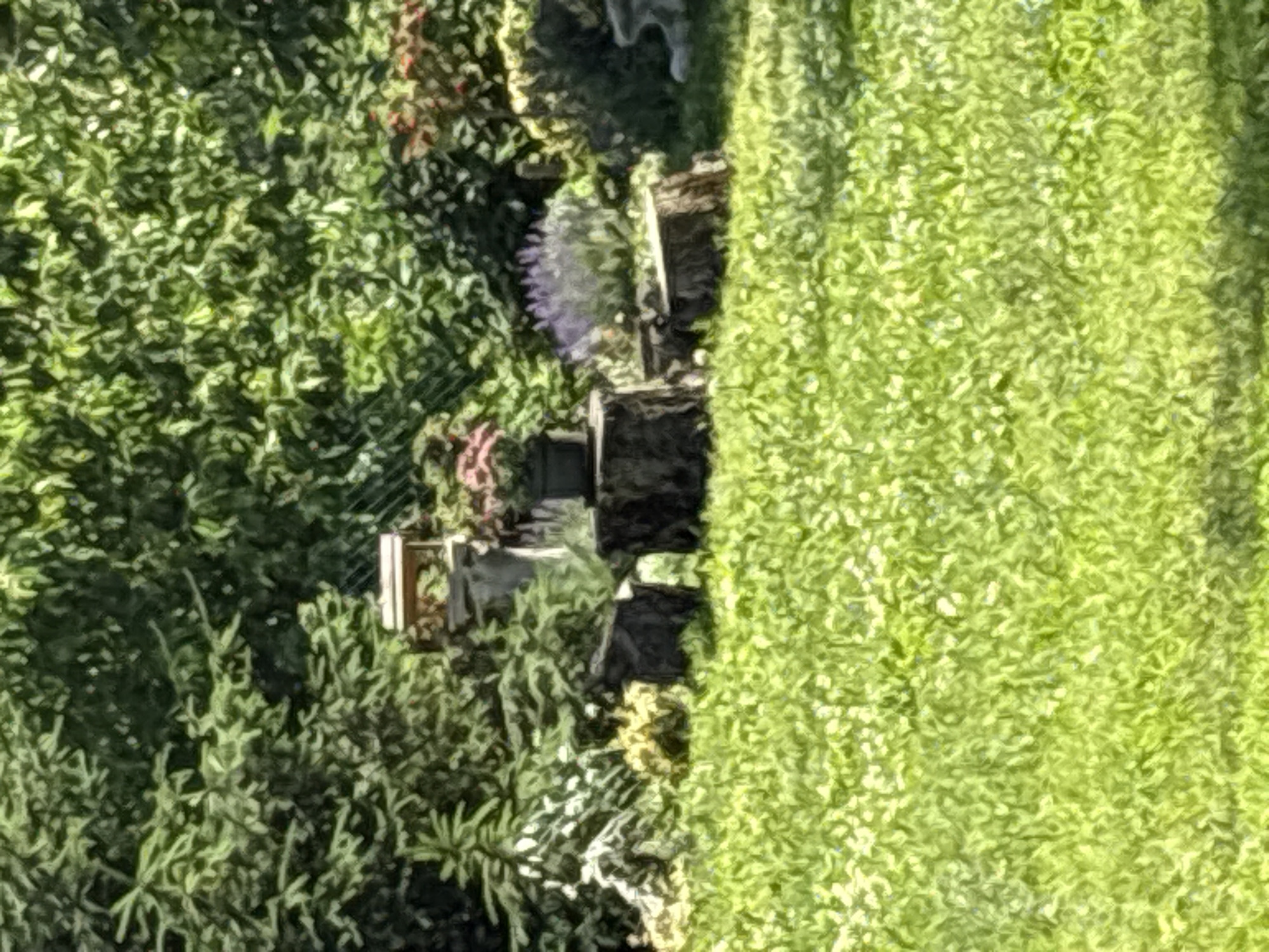 In Drożki, Poland, a garden scene unfolds with a focus on natural elements. In the foreground, lush green grass covers the ground, suggesting a well-maintained lawn. Towards the middle ground, several tree stumps are arranged, some serving as rustic seating or tables. On one of these stumps sits a potted plant with pink flowers, adding a touch of color to the scene. Behind the stumps, a bird feeder stands tall, its wooden structure blending with the surrounding greenery. The background is dominated by dense foliage, likely trees and shrubs, creating a shaded and natural environment. The overall impression is one of a peaceful, outdoor space, possibly a backyard or a small park area, characterized by its organic elements and garden features.