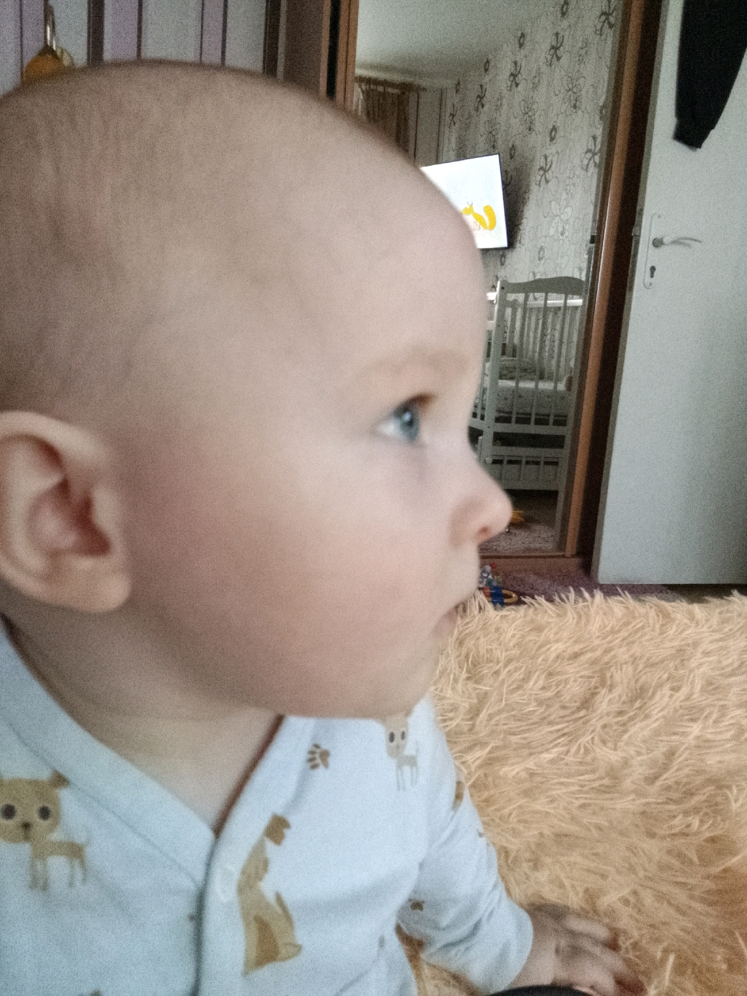 The image shows a close-up, side profile of a bald baby's head, with focus on their face. The baby has light blue eyes and is looking to the right. They are wearing a light blue onesie with cartoon animal prints. The baby is positioned on a fuzzy, orange blanket. In the background, a doorway is visible, leading to a room with a crib, a television displaying an image of a fox, and floral wallpaper. The environment suggests a residential setting. The image quality is somewhat grainy. The location of this scene is unknown.
