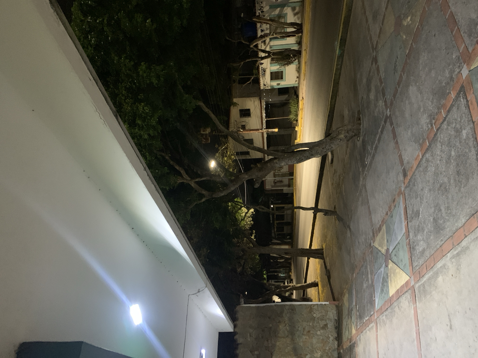 A street-level view of a sidewalk and street in Santa Ana, Venezuela at night. The foreground features a concrete sidewalk with decorative square tile inlays featuring a geometric pattern of light green, grey, and yellow triangles radiating from a central brown circle, all bordered by red brick tiles. Several trees with bare, branching trunks are planted in the sidewalk, their roots emerging from the ground. Beyond the sidewalk is a street with a yellow curb. On the opposite side of the street are buildings with a light-colored facade, some with closed storefronts. A single white car is parked on the street. Overhead, a white overhang with a bright rectangular light fixture illuminates part of the sidewalk and trees. The scene is dimly lit, with artificial light sources casting shadows and highlighting the textures of the sidewalk and trees.