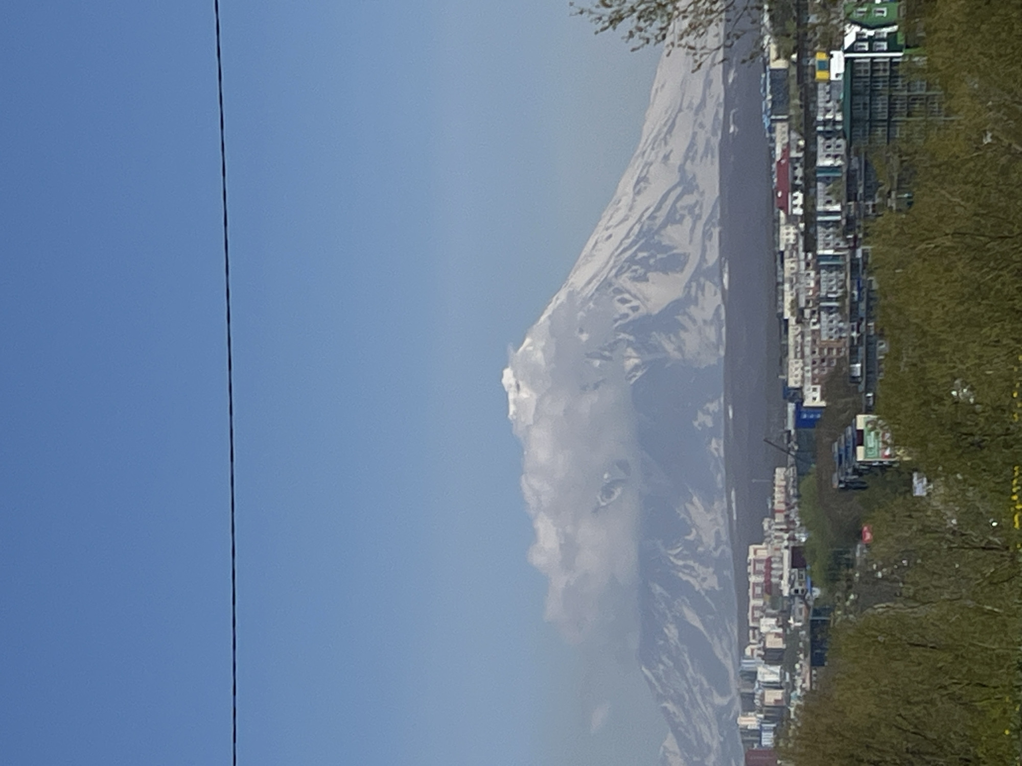 The image depicts a panoramic view of the city of Petropavlovsk-Kamchatsky, Russia, with a prominent snow-capped volcano in the background. In the foreground, a dense cluster of trees, some with budding leaves, partially obscures a cityscape characterized by multi-story residential buildings. The buildings exhibit a variety of architectural styles and colors, with some featuring red, white, and blue facades. A thin black wire stretches horizontally across the upper portion of the frame, against a clear blue sky. The volcano, likely Koryaksky or Avachinsky, dominates the horizon, its slopes partially covered in snow and shrouded in clouds near its peak. The overall scene suggests a mild, possibly spring or early summer day.