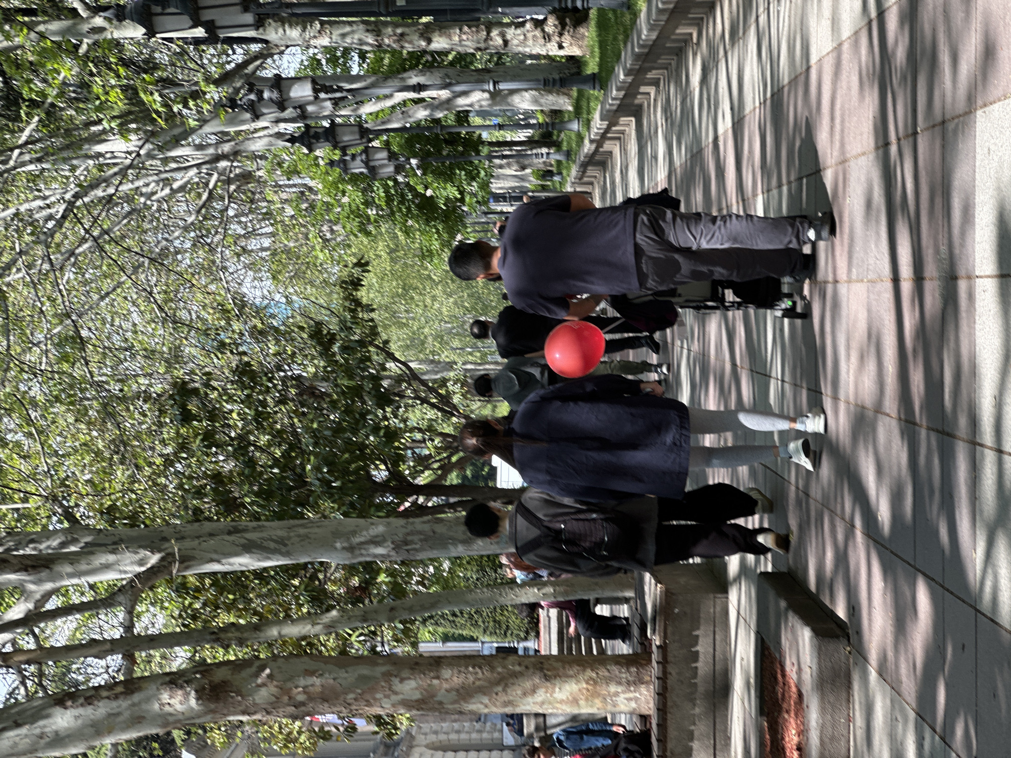 A group of people is walking on a sidewalk in Tbilisi, Georgia. A man in a dark shirt and gray pants is pushing a wheelchair. Another person is carrying a red balloon. A row of trees lines the sidewalk and casts shadows on the pavement. Lampposts are visible among the trees.