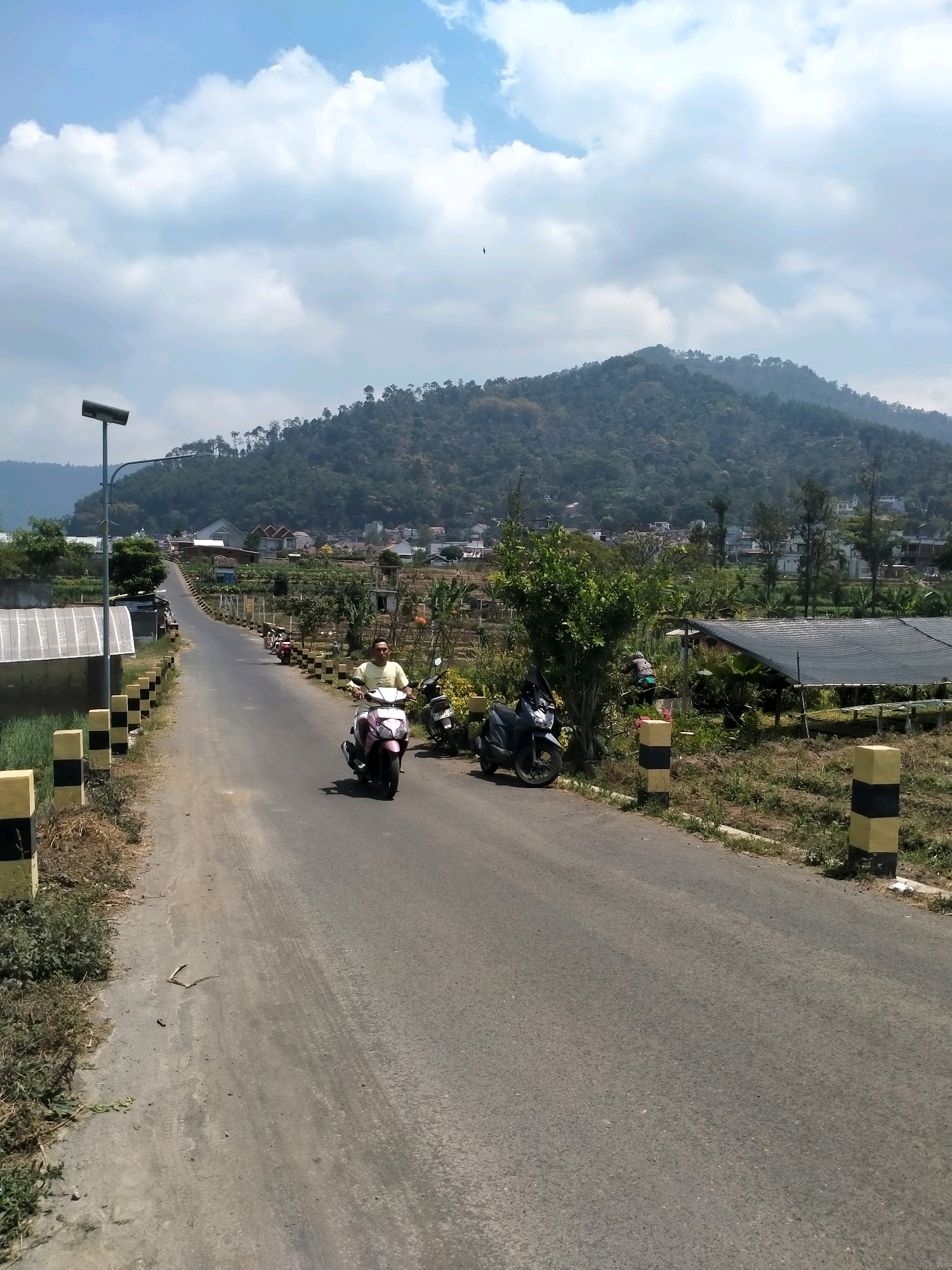 A lone man rides a pink scooter down a paved road in the Batu City region of Indonesia. The road is lined with yellow and black striped posts and flanked by fields and greenery. In the distance, a lush green mountain range rises under a partly cloudy sky. Several other parked motorcycles are visible along the roadside, and a dark blue scooter is parked behind the man. The man is wearing a yellow t-shirt and appears to be smiling. The scene conveys a sense of rural tranquility and everyday life in a scenic mountainous area.