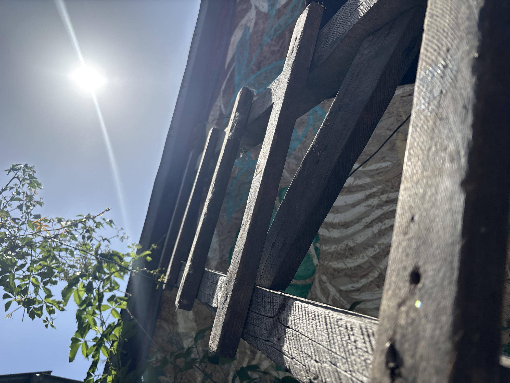 The image shows a close-up, low-angle view of a wooden ladder leaning against a wall with graffiti. The ladder is weathered and appears old. Above the ladder, green foliage is visible against a bright, sunny sky with a lens flare from the sun. The wall behind the ladder has abstract graffiti in shades of blue, brown, and white. The scene appears to be outdoors, possibly in an urban environment. The exact location in Almaty, Kazakhstan, cannot be determined from the image alone. There are no people or animals visible in the frame.