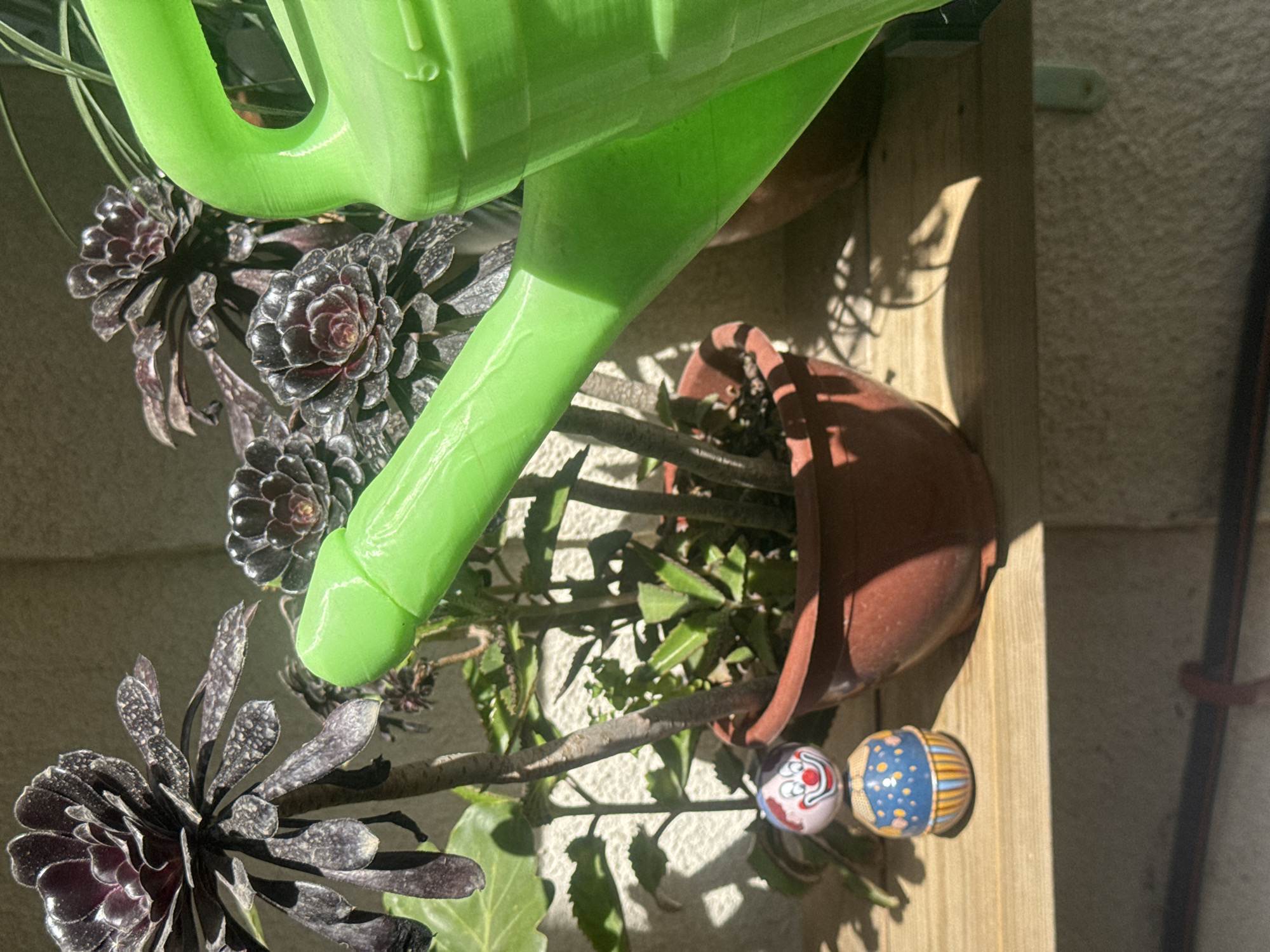 A close-up, outdoor shot of potted plants and a watering can, likely taken in Tel-Aviv, Israel. A green plastic watering can sits above a cluster of dark purple succulent plants with rosette patterns. These are located next to a brown clay pot that holds another plant with green leaves and thin, brown branches. On one of the branches, near the edge of the pot, are two decorative ceramic beads with colorful patterns. The background includes a wooden surface and a textured, light-colored wall. A shadow and a blurred pole are also present.