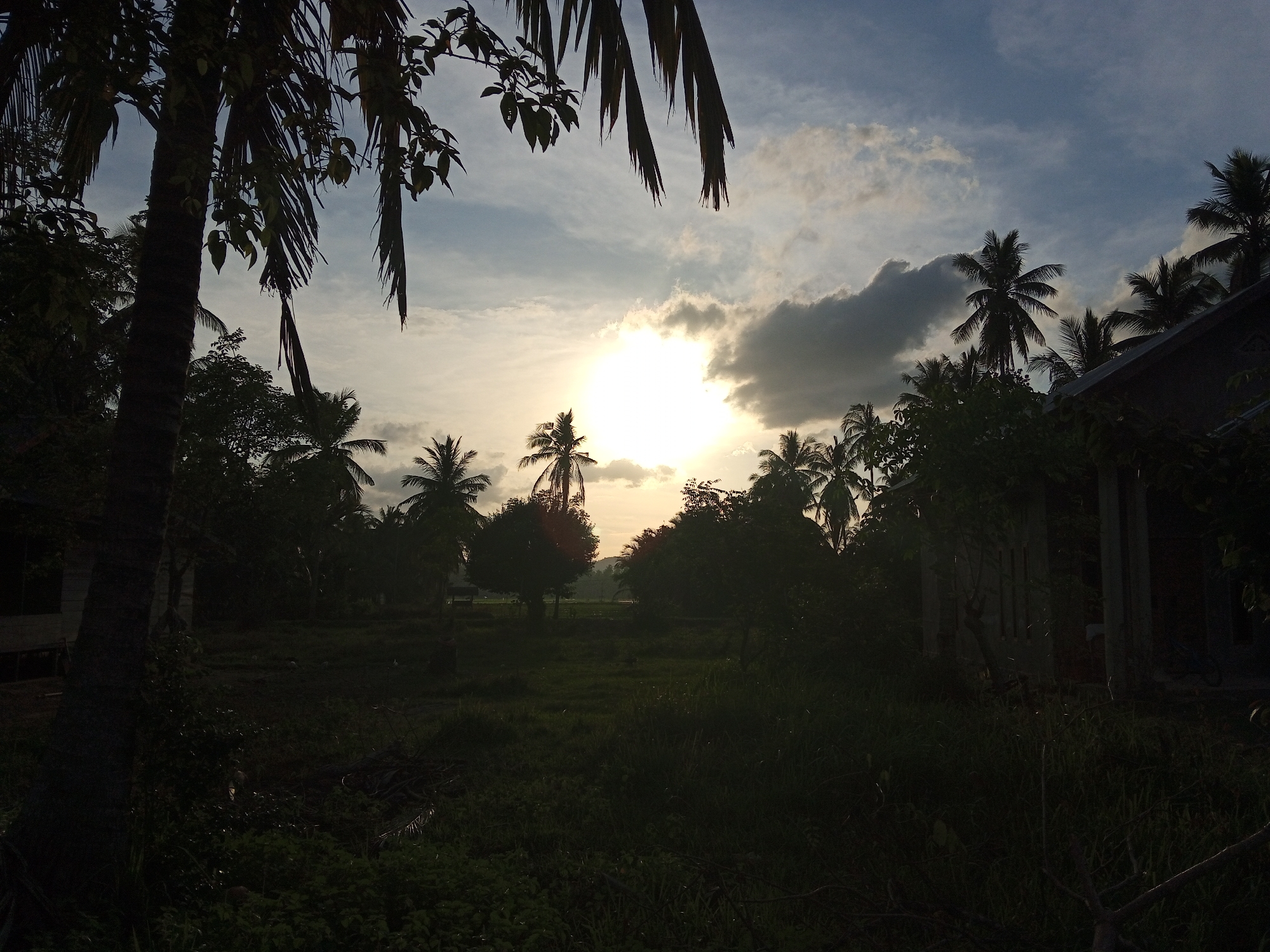 The image captures a twilight or sunset scene in what appears to be a rural area of Ceubrek, Indonesia. In the background, the sun is partially obscured by clouds, with palm trees silhouetted against the bright sky. Vegetation, including grass and small plants, covers the foreground. Buildings are present on the edges of the scene, partially obscured by trees and darkness.