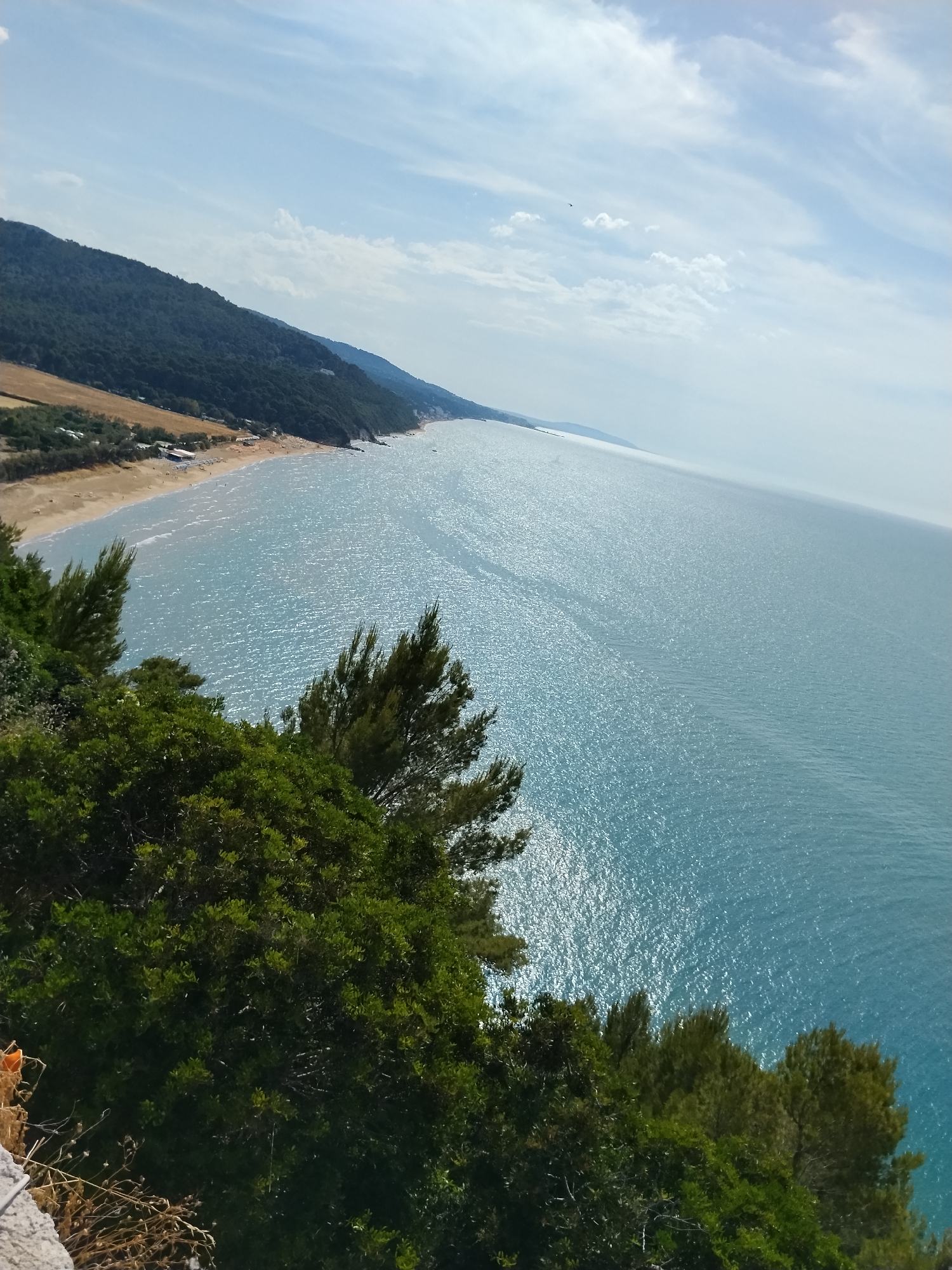 This image depicts a coastal landscape near Vico del Gargano, Italy, captured from an elevated perspective looking northeastward over the Adriatic Sea. The scene is bright and sunny, with a clear light blue sky featuring scattered cirrus and cumulus clouds. The horizon line is noticeably tilted upward to the right.
In the upper left, a densely forested mountain or large hill, covered in dark green deciduous and coniferous trees, slopes gradually towards the coastline. Below this slope, a sandy beach, light tan in color, stretches along the shore. Small, indistinct figures, consistent with human presence, are visible on the beach and wading in the shallow, light blue waters. Several light-colored structures, possibly beach establishments or umbrellas, are situated further back from the water's edge on the sand.
The sea, occupying the majority of the right and lower-middle portions of the image, is a vibrant turquoise-blue, intensely reflecting sunlight across its surface, indicating calm conditions. The reflections create a shimmering, textured appearance. Towards the right, the coastline continues with rocky formations meeting the sea.
In the immediate foreground, particularly on the left and bottom, dense green foliage of trees and bushes partially frames the view, suggesting the vantage point is from a vegetated cliffside. Dry, light-brown vegetation and a grey stone surface are visible in the extreme bottom left corner. A small, dark, airborne object, likely a bird, is visible against the sky in the upper left quadrant.